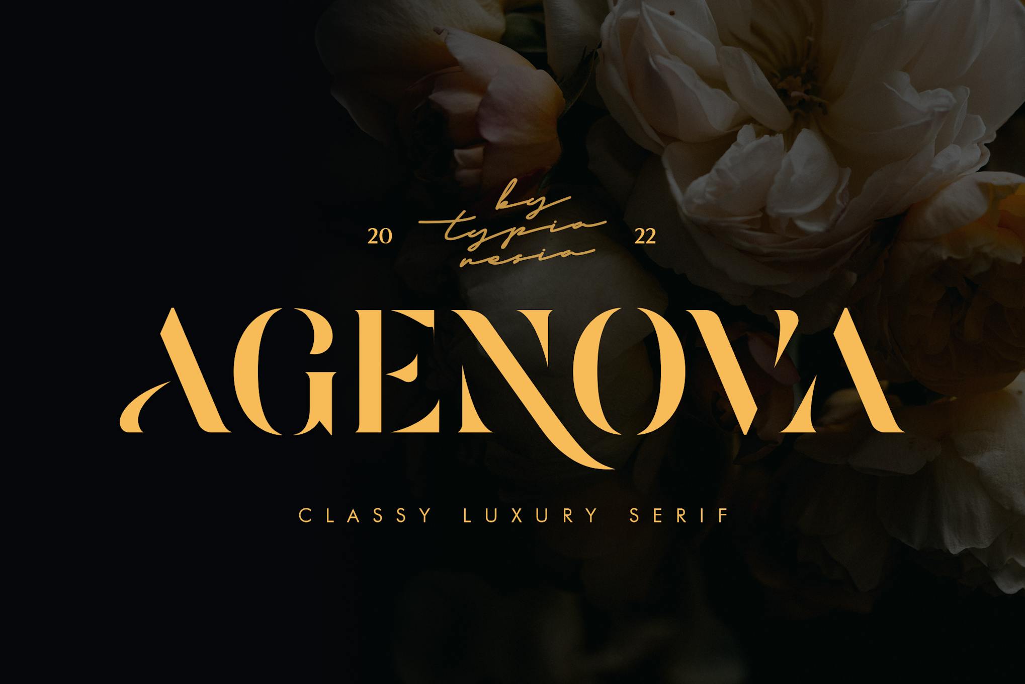 Imagen de portada de Agenova - Modern Luxury Bold Stencil Serif (fuente)