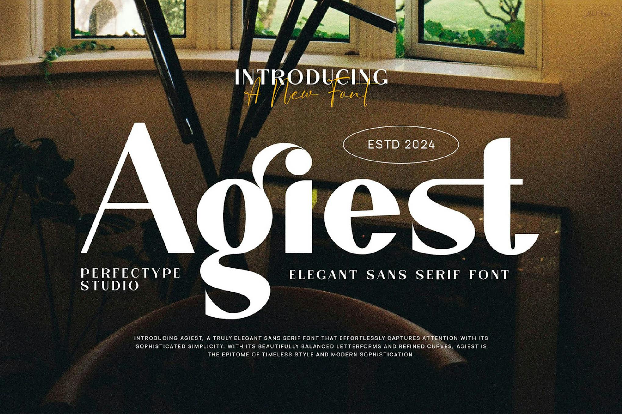 Imagen de portada de Agiest Elegant Sans Serif Font Typeface (fuente)