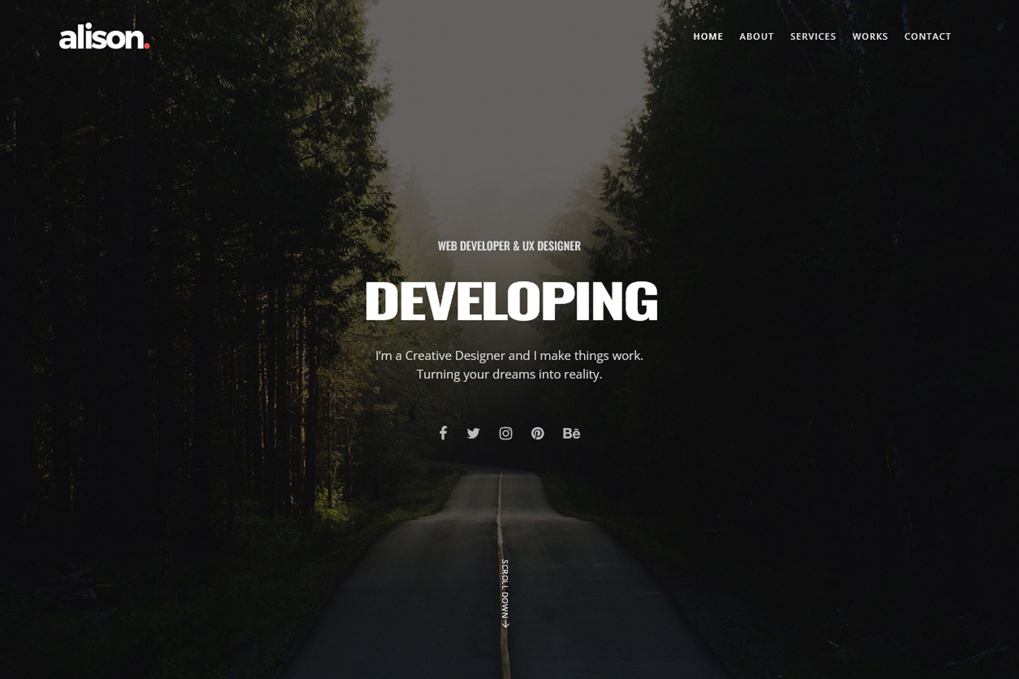 Imagen de portada de Alison - Portfolio HTML Template (plantilla web)