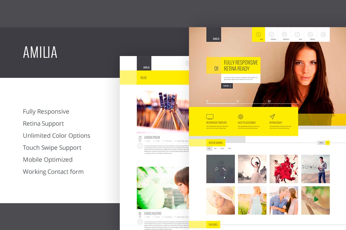 Imagen de portada de Amilia - Responsive Multi-Purpose Template (plantilla web)