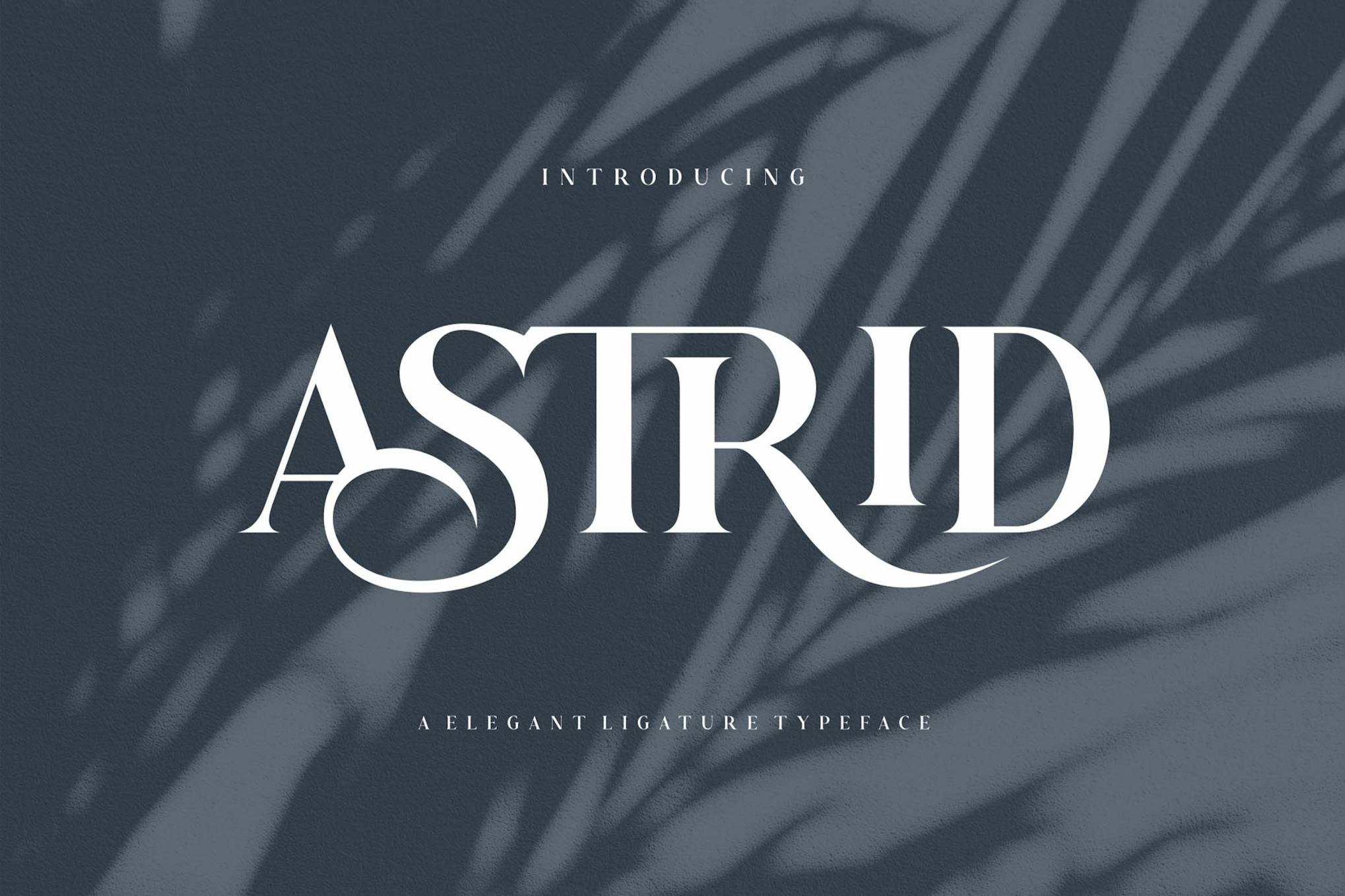 Imagen de portada de Astrid Elegant Ligature Typeface (fuente)