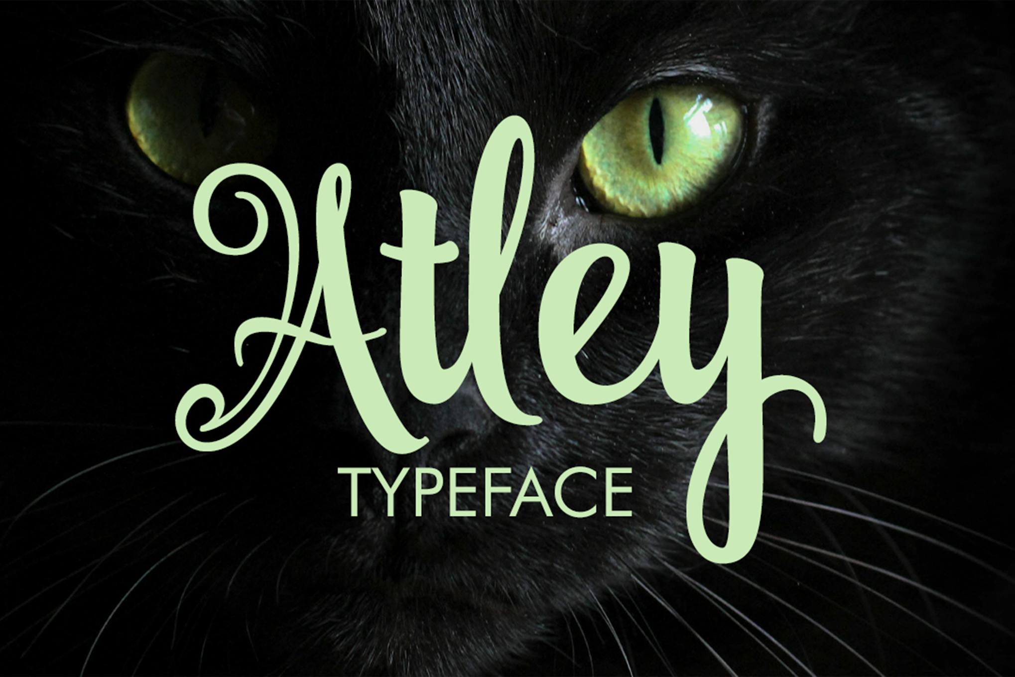 Imagen de portada de Atley (fuente)