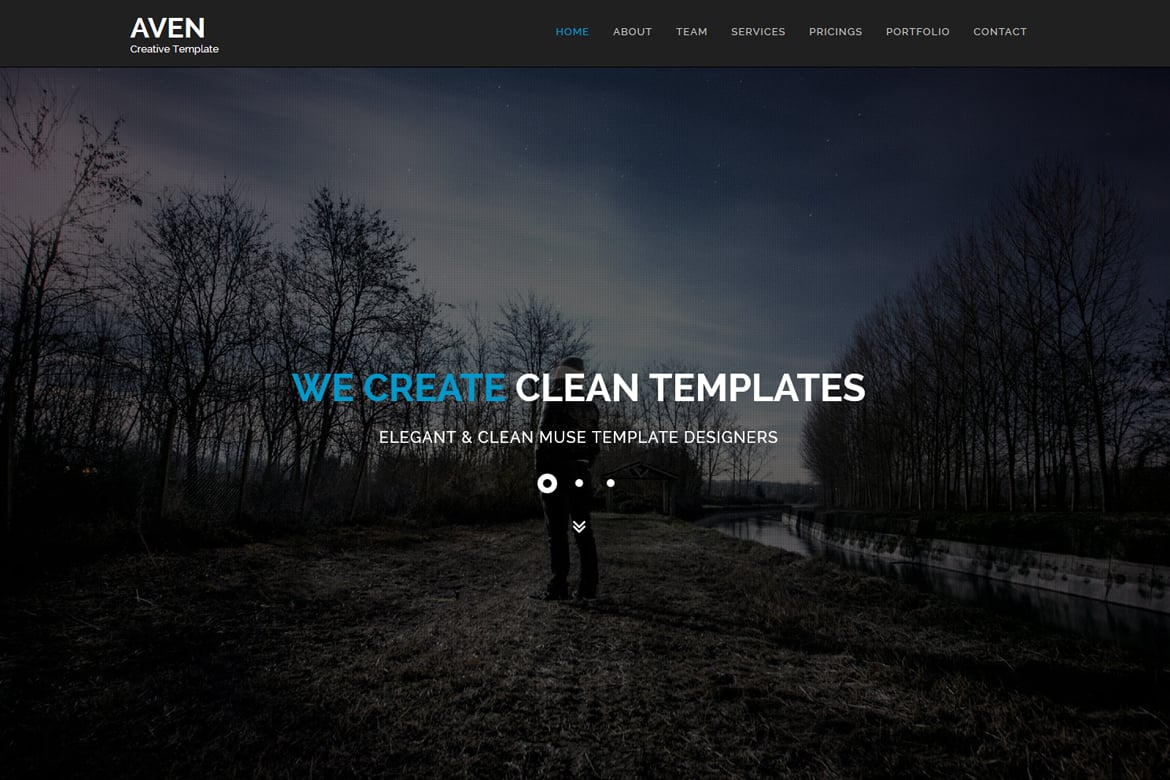 Imagen de portada de Aven - Multipurpose Parallax HTML Template (plantilla web)