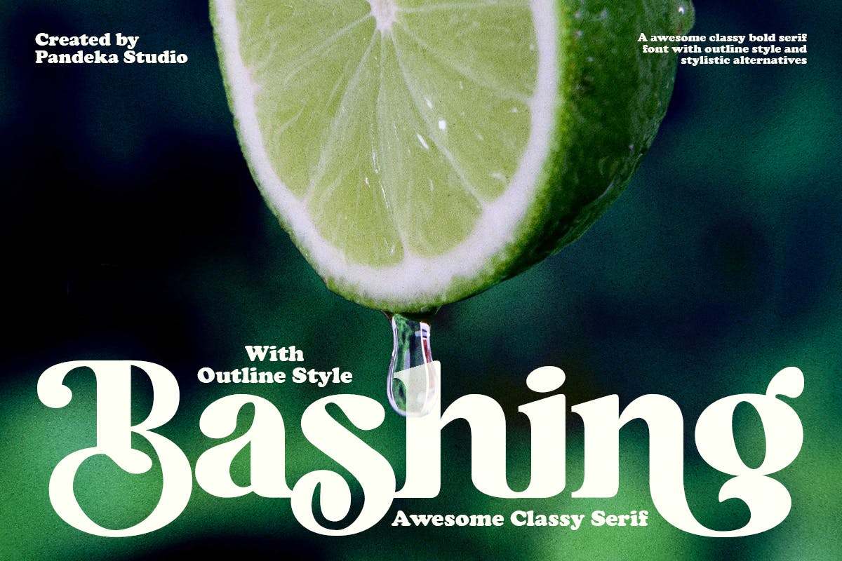 Imagen de portada de Bashing - Retro Modern Decorative (fuente)
