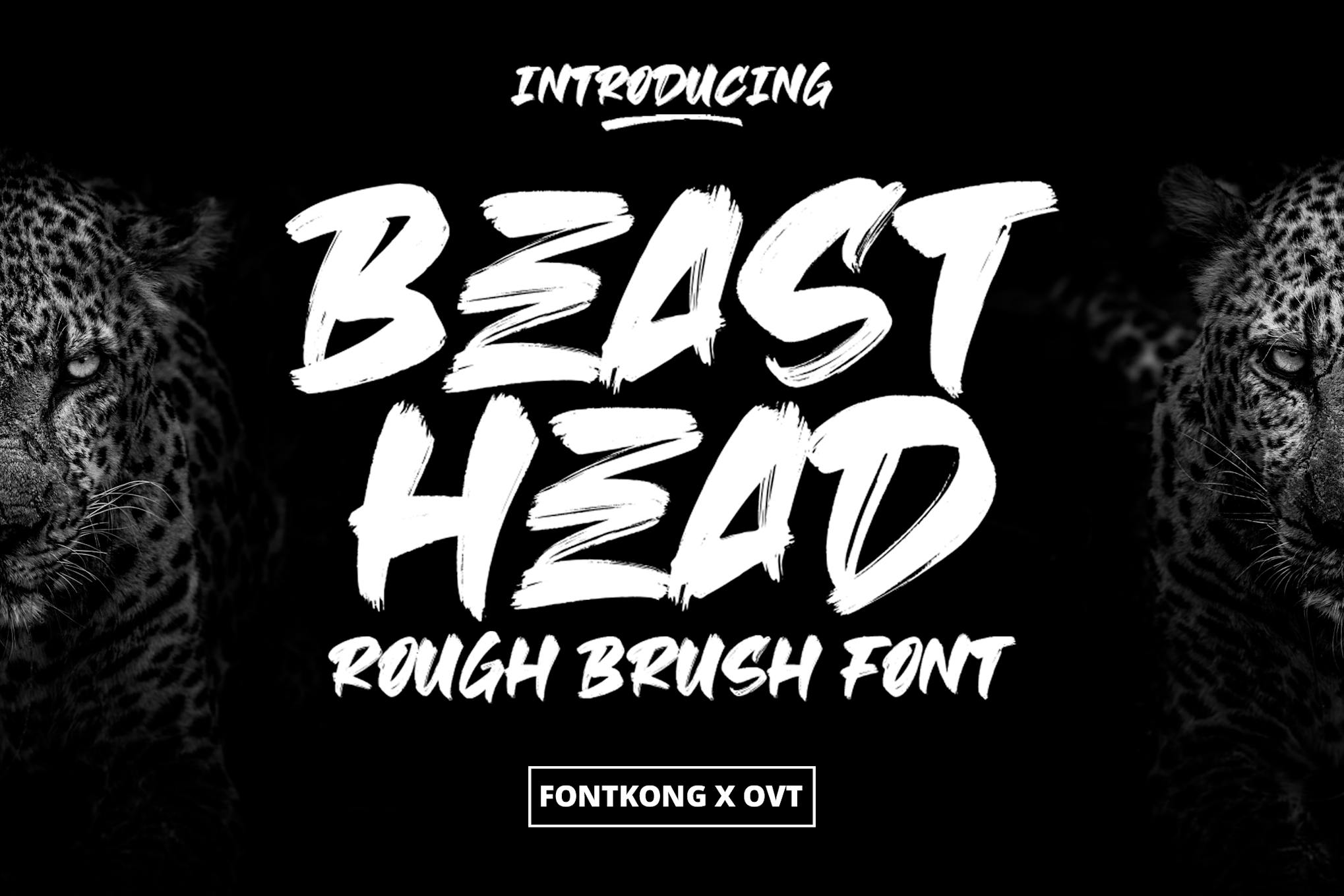 Imagen de portada de Beast Head - Rough Brush Font (fuente)