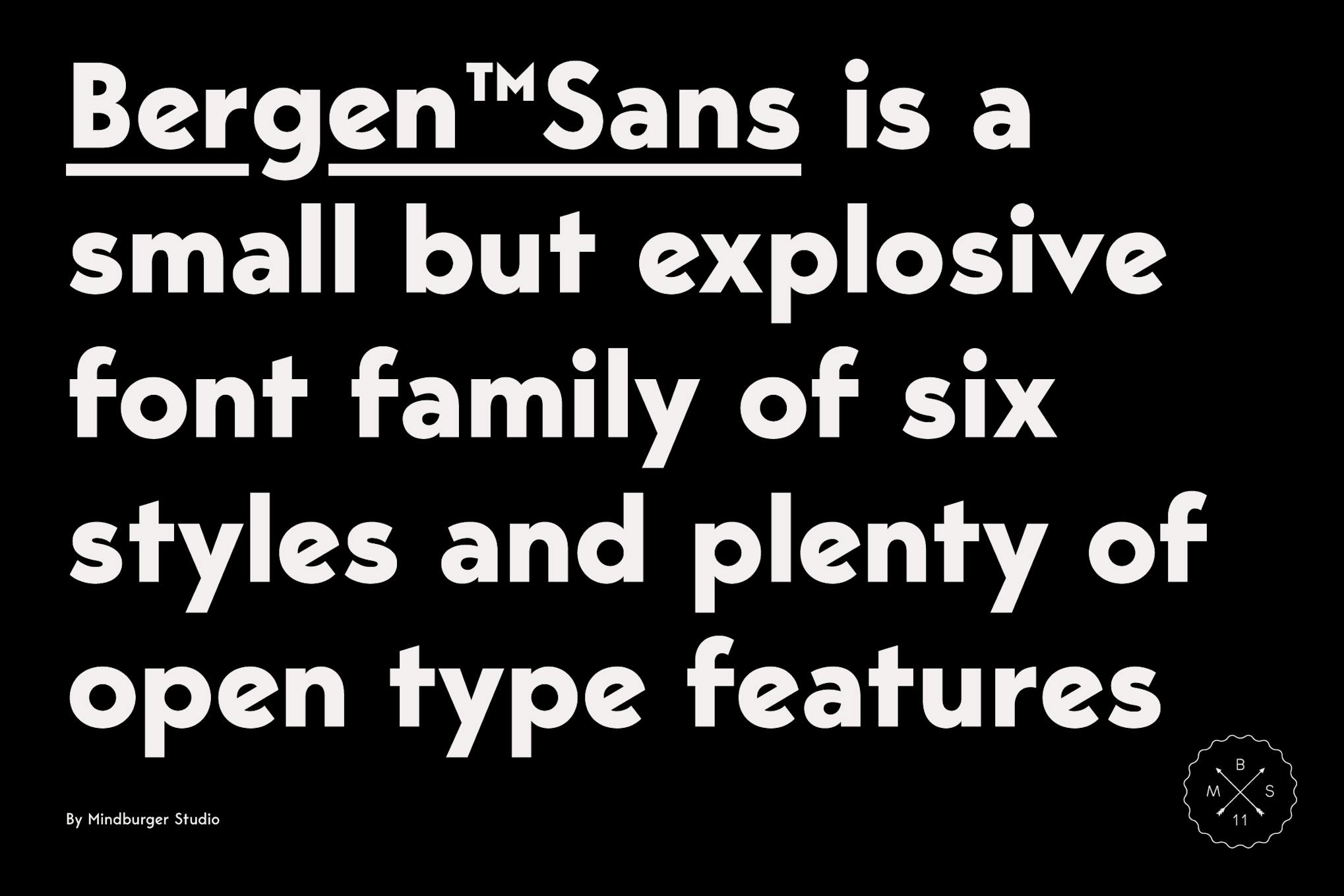 Imagen de portada de Bergen Sans (fuente)
