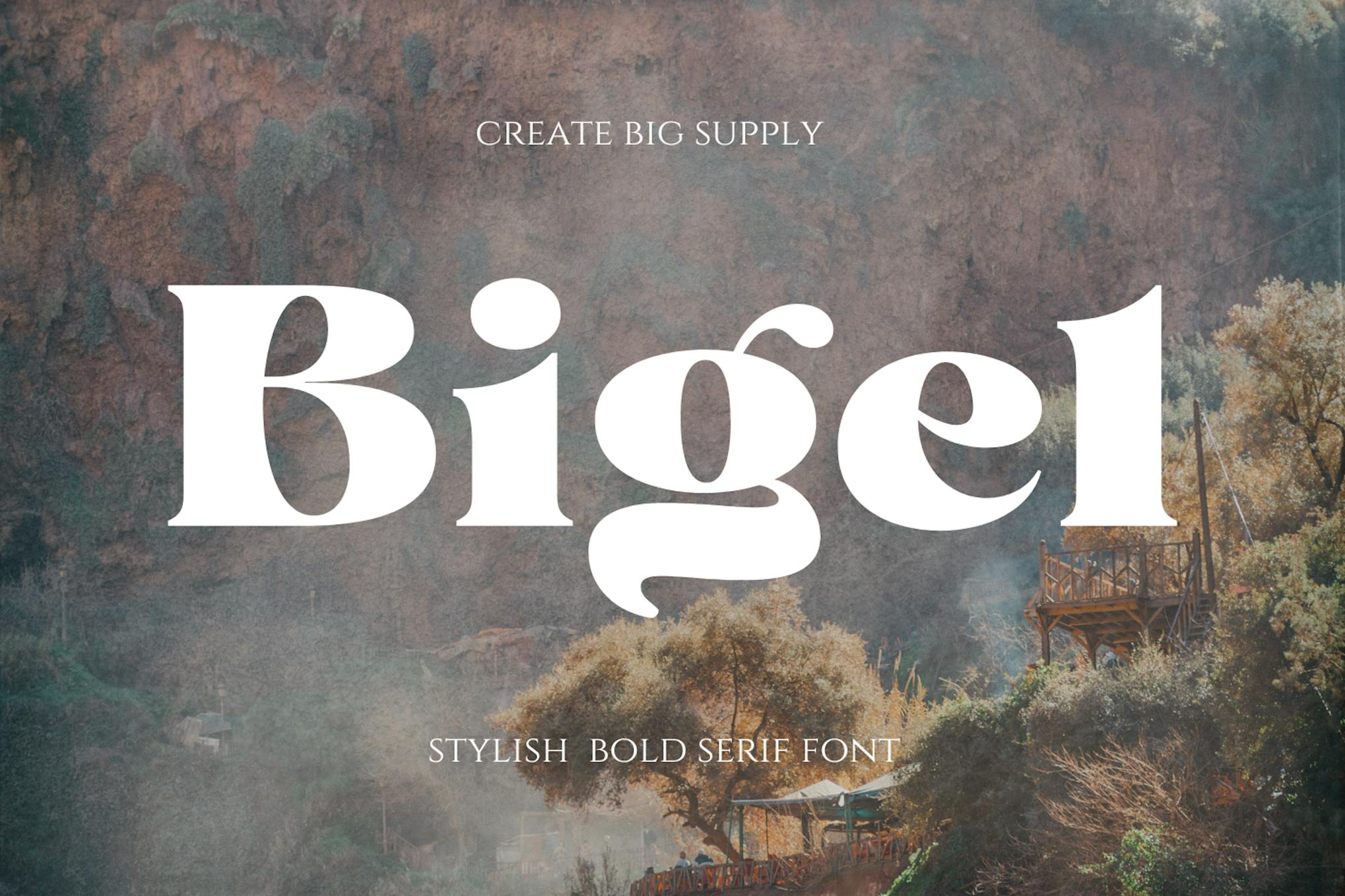 Imagen de portada de Bigel - Stylish Bold Serif Display Font (fuente)