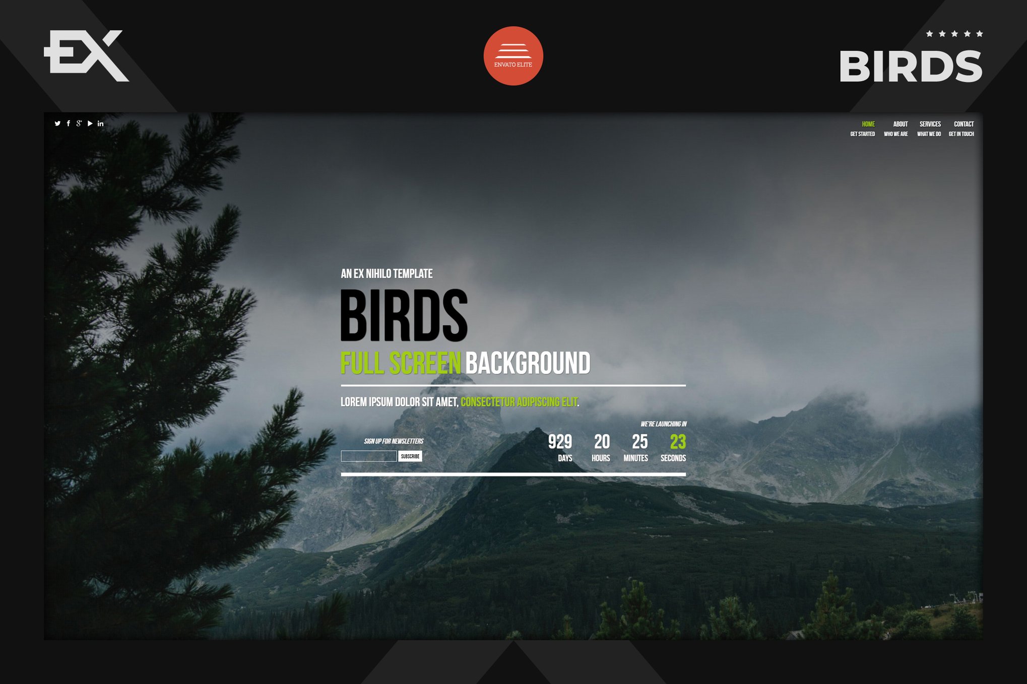 Imagen de portada de Birds - Responsive Coming Soon Page (plantilla web)