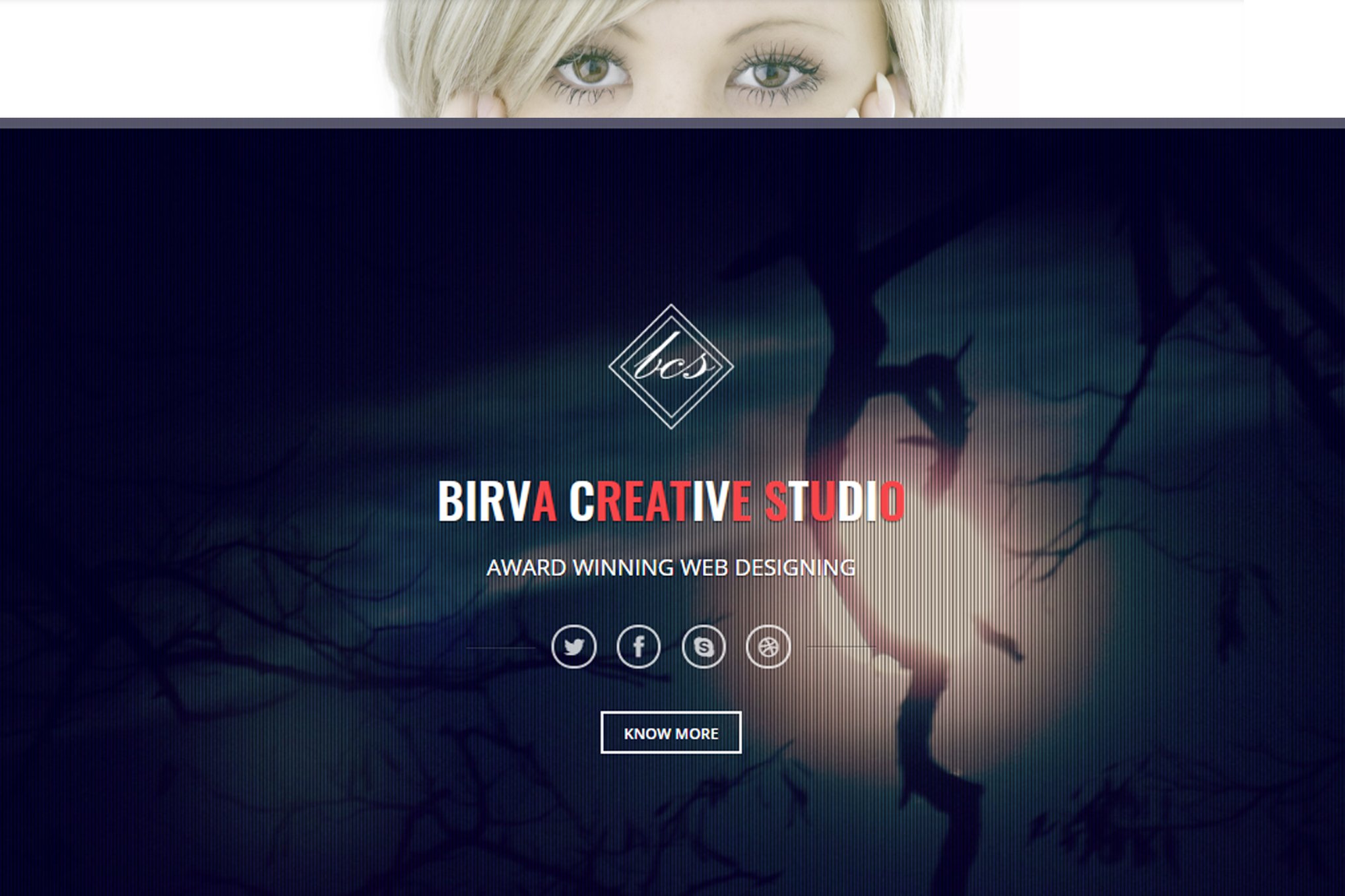 Imagen de portada de Birva - Bootstrap Parallax One Page Template (plantilla web)
