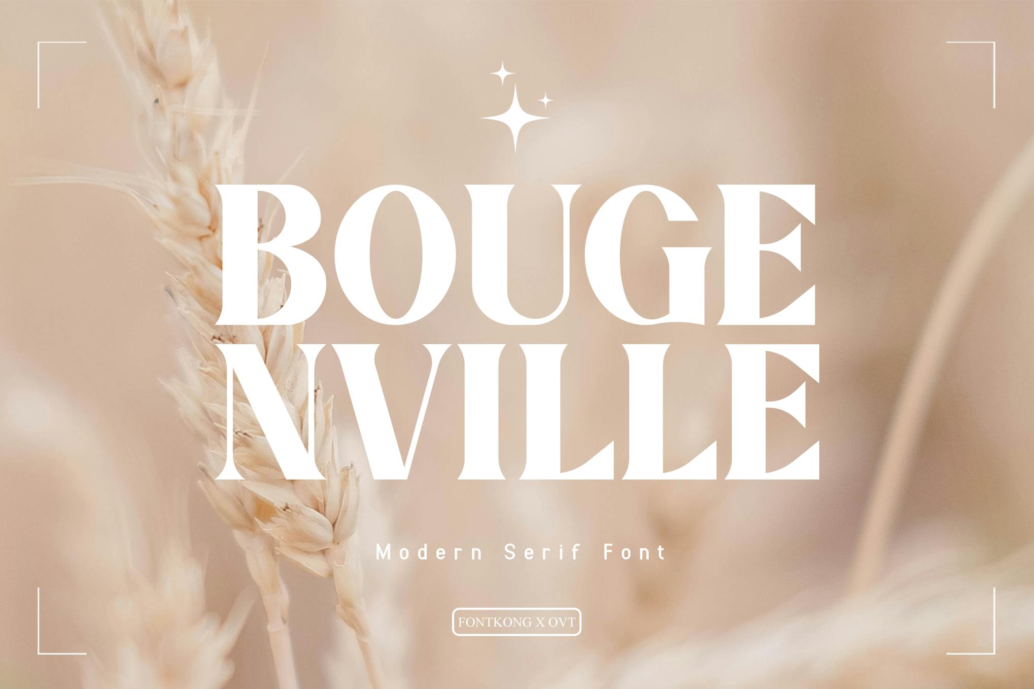 Imagen de portada de Bougenville - Modern Serif Font (fuente)