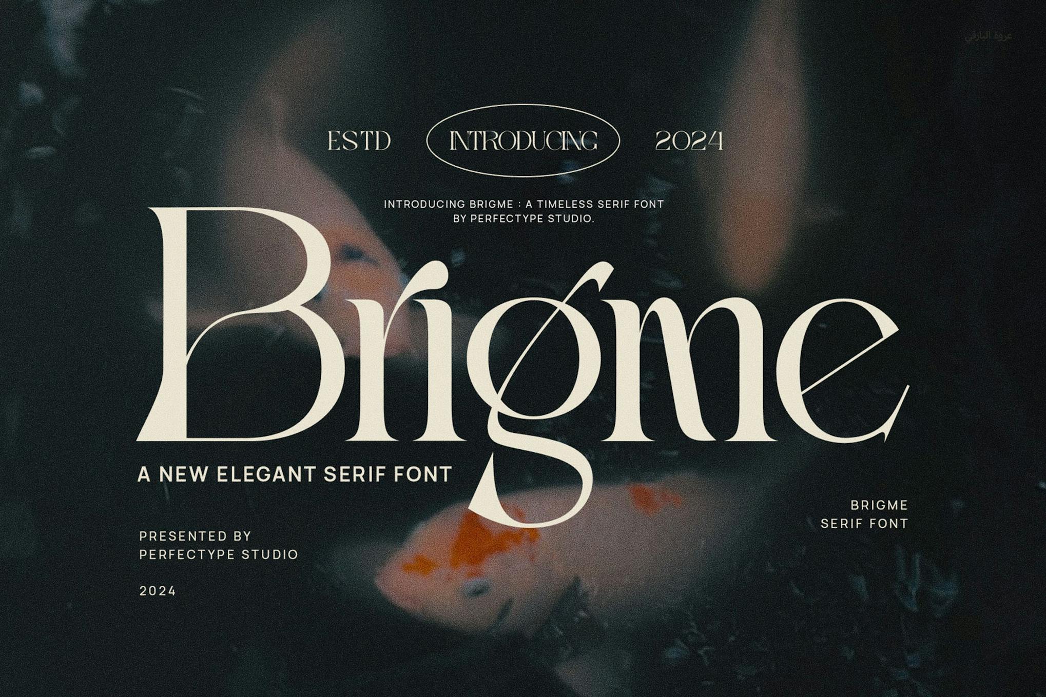 Imagen de portada de Brigme Elegant Ligature Serif Font Typeface (fuente)