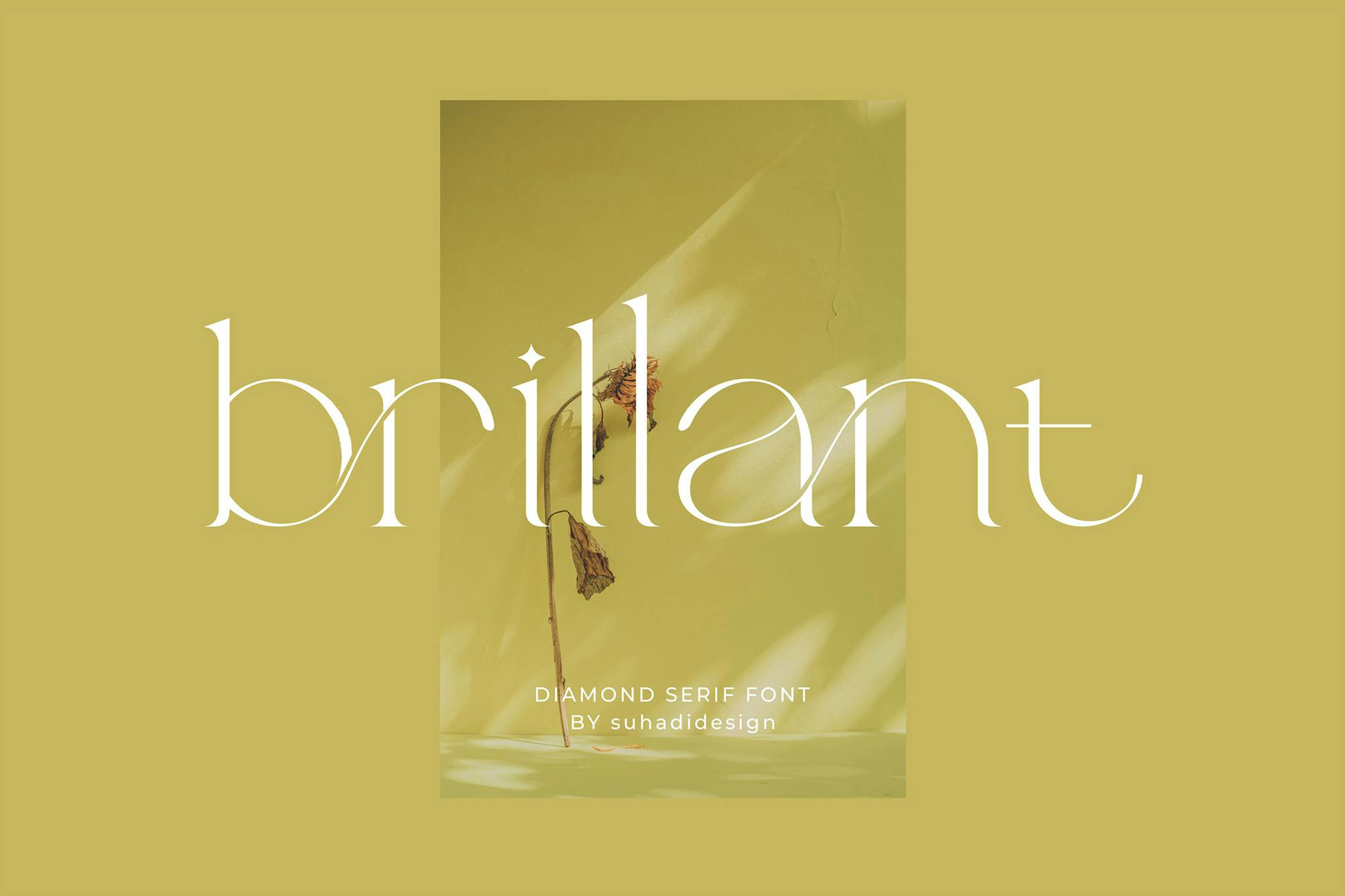 Imagen de portada de Brillant - Stylish Ligature Serif (fuente)