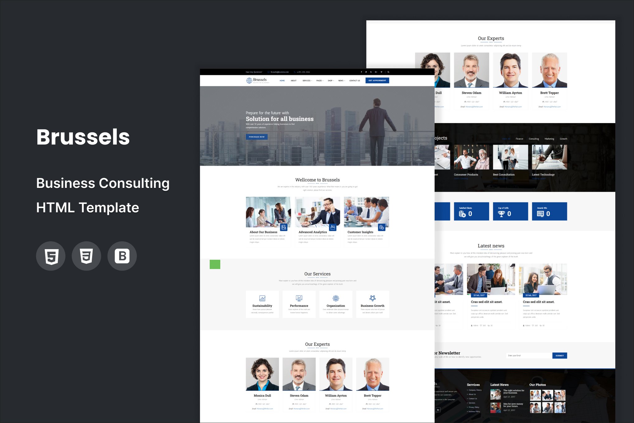 Imagen de portada de Brussels - Business Consulting HTML Template (plantilla web)