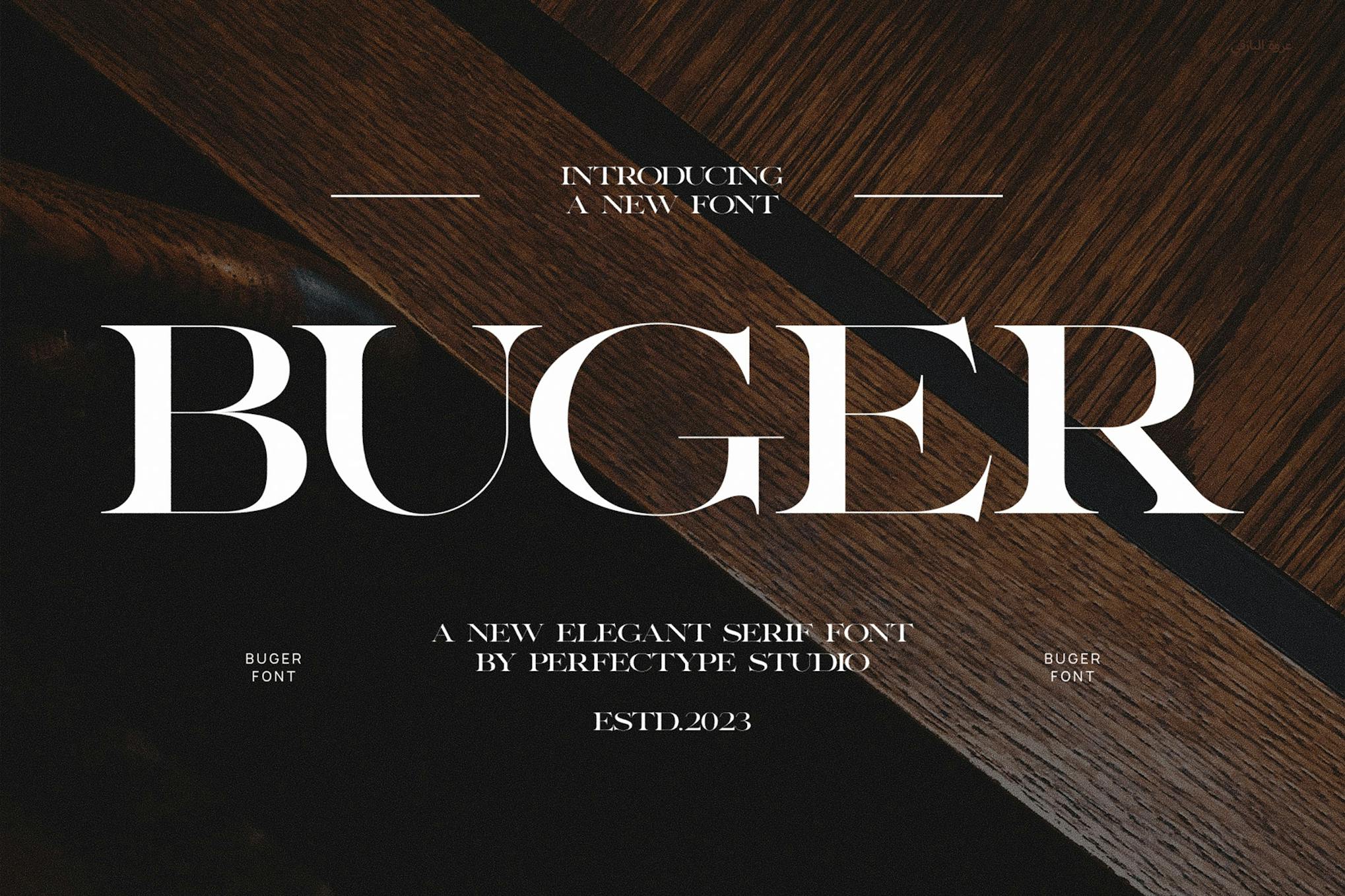 Imagen de portada de Buger Elegant Serif Font Typeface (fuente)