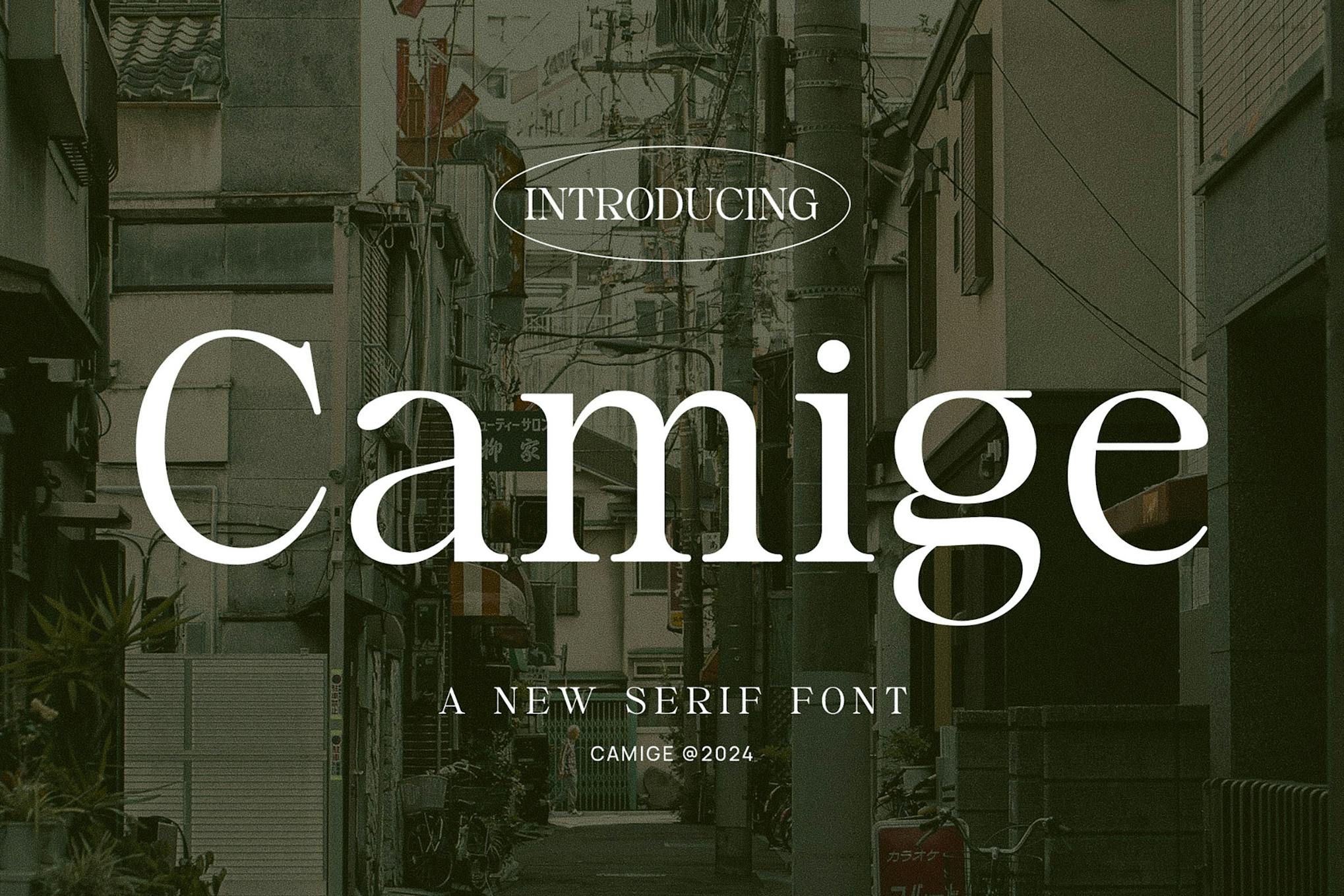 Imagen de portada de Camige - Classy & Stylish Serif (fuente)