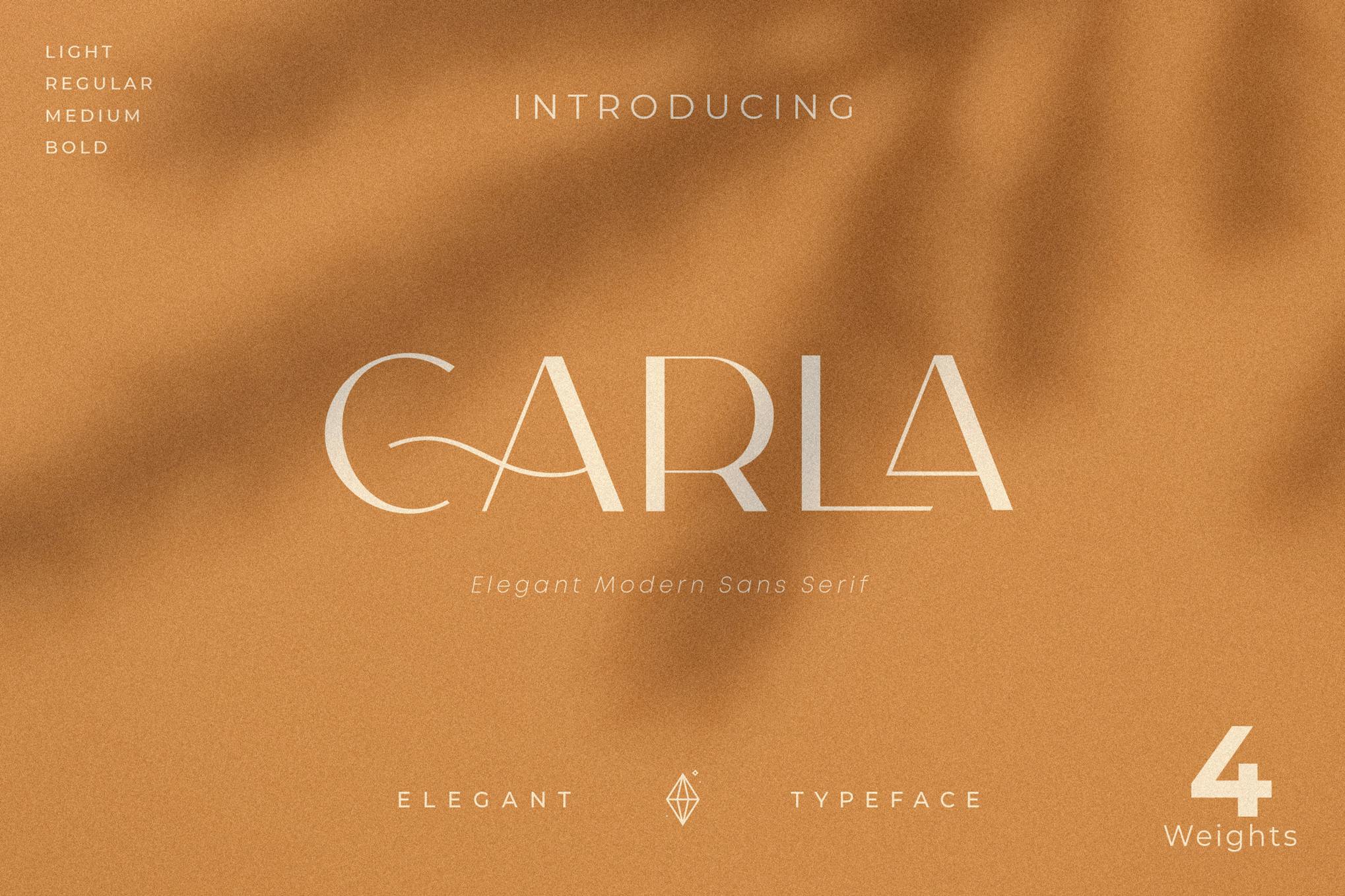 Imagen de portada de Carla Sans - Elegant Typeface (fuente)