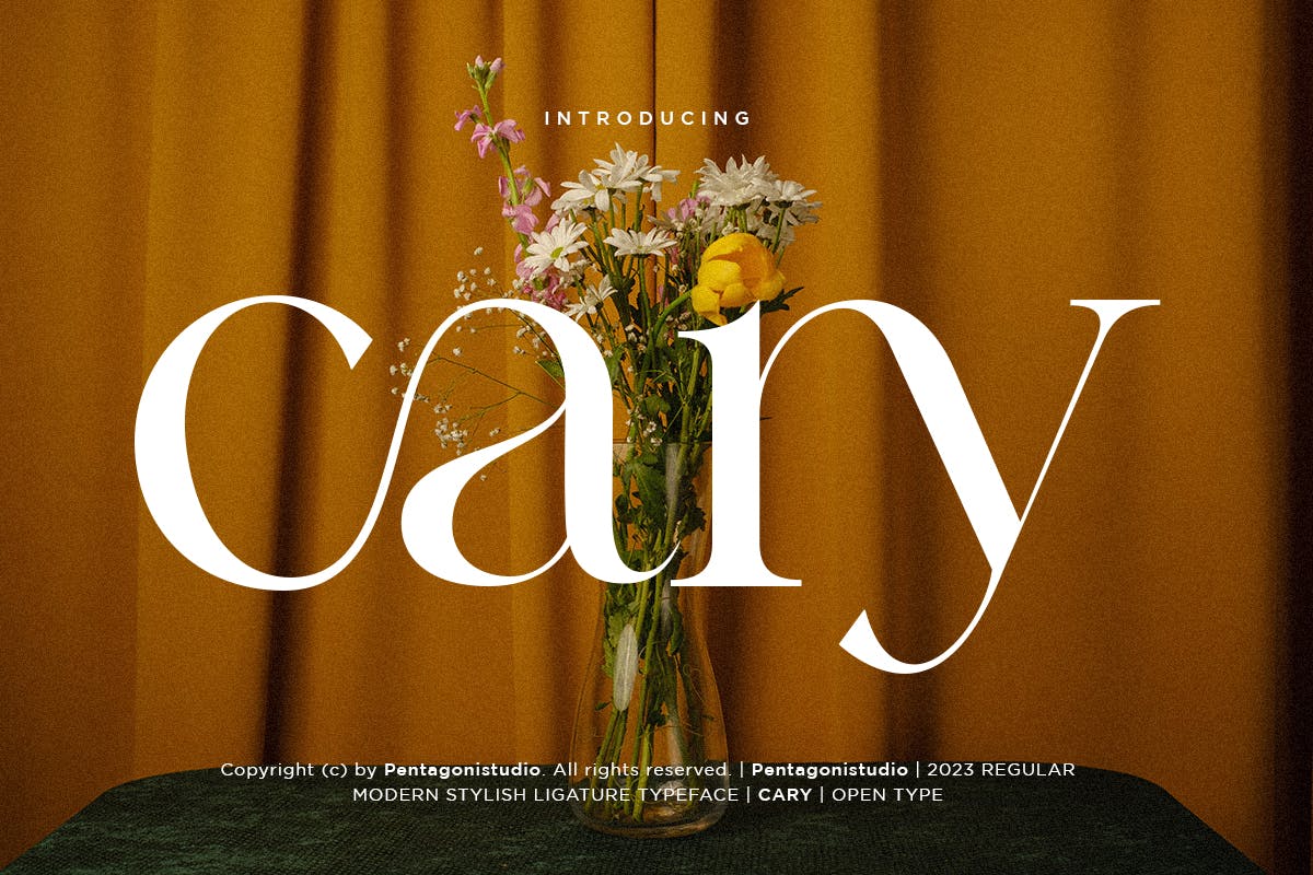 Imagen de portada de Cary | Classy Serif Font (fuente)