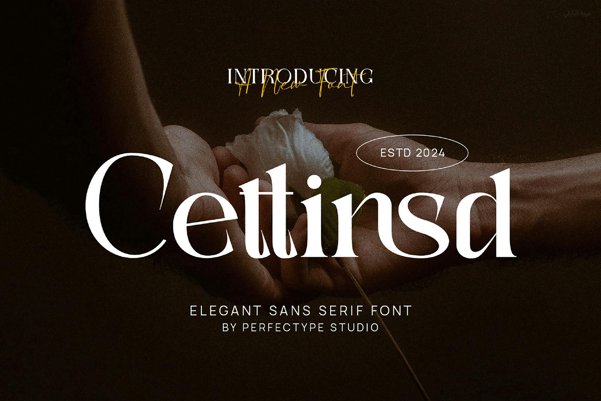 Imagen de portada de Cettinsd Elegant Serif Font Typeface (fuente)