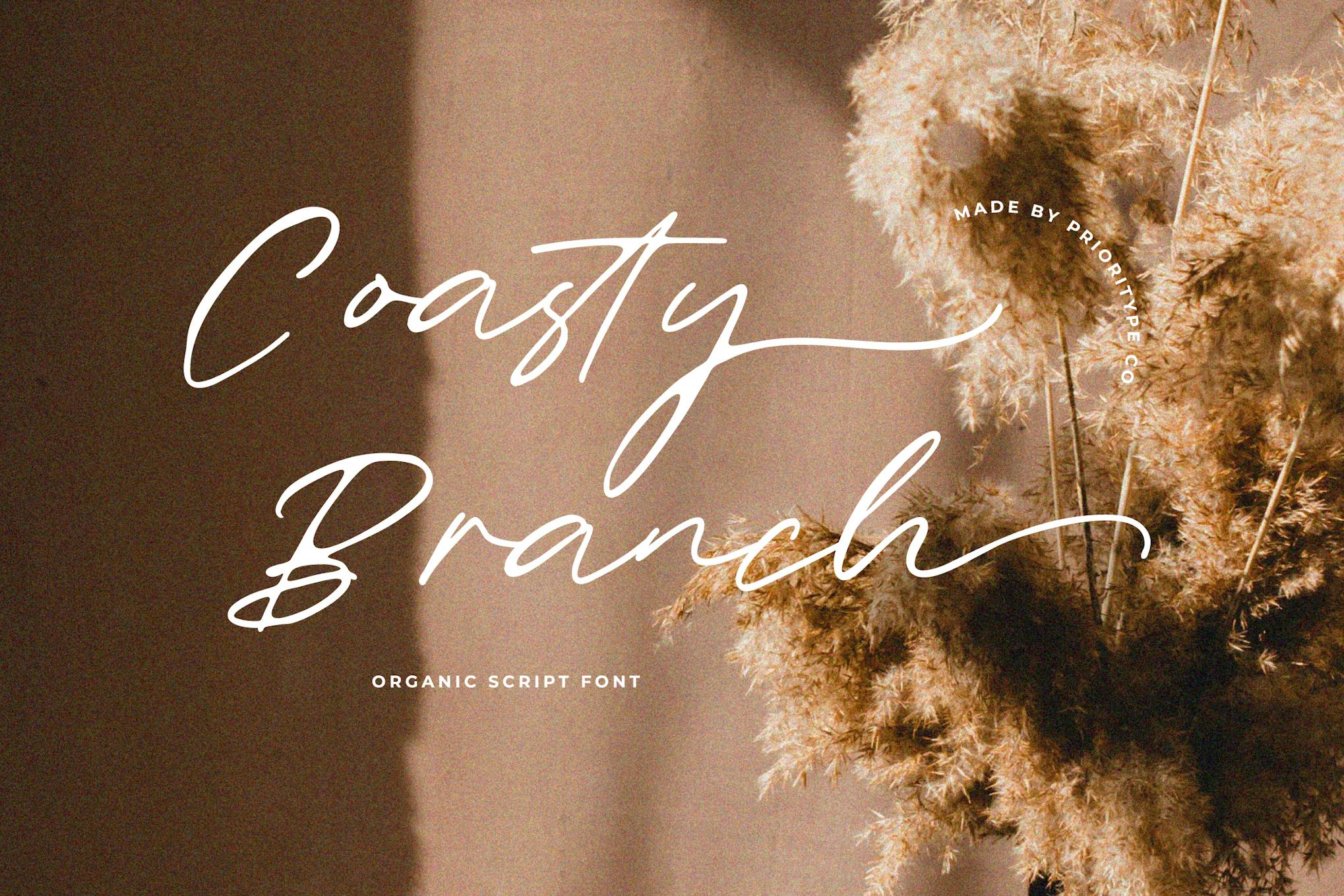 Imagen de portada de Coasty Branch - Organic Script Font (fuente)