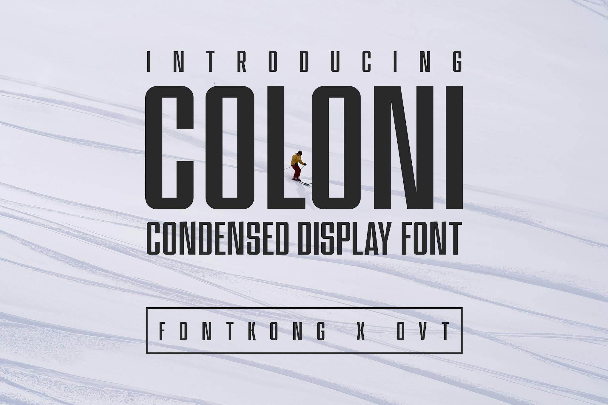 Imagen de portada de Coloni - Condensed Display Font (fuente)