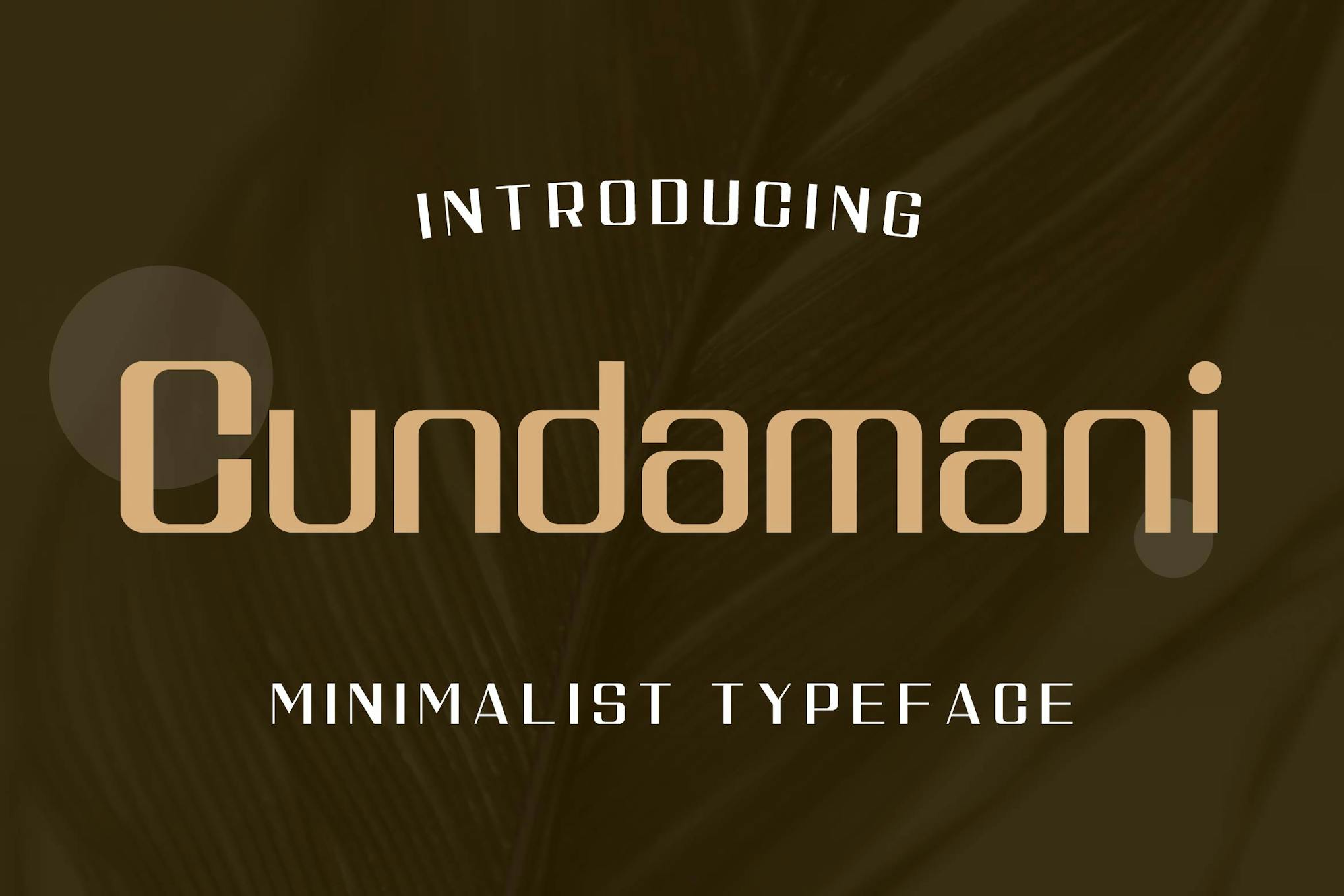 Imagen de portada de Cundamani - Minimalist Elegant Typeface (fuente)