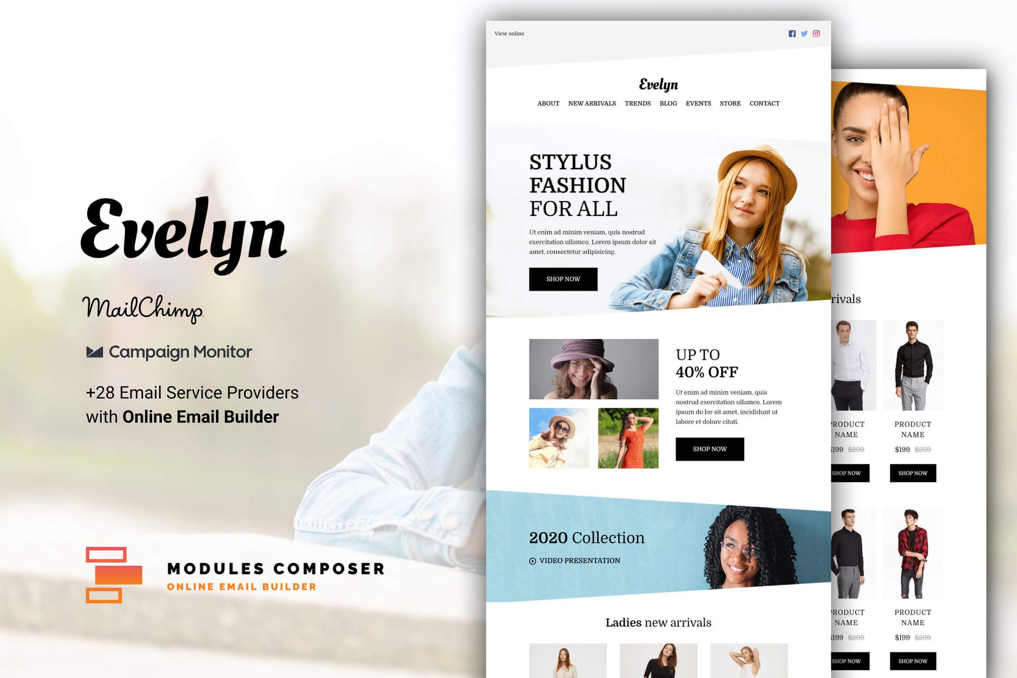 Imagen de portada de Evelyn - E-commerce Responsive Email Template (plantilla web)