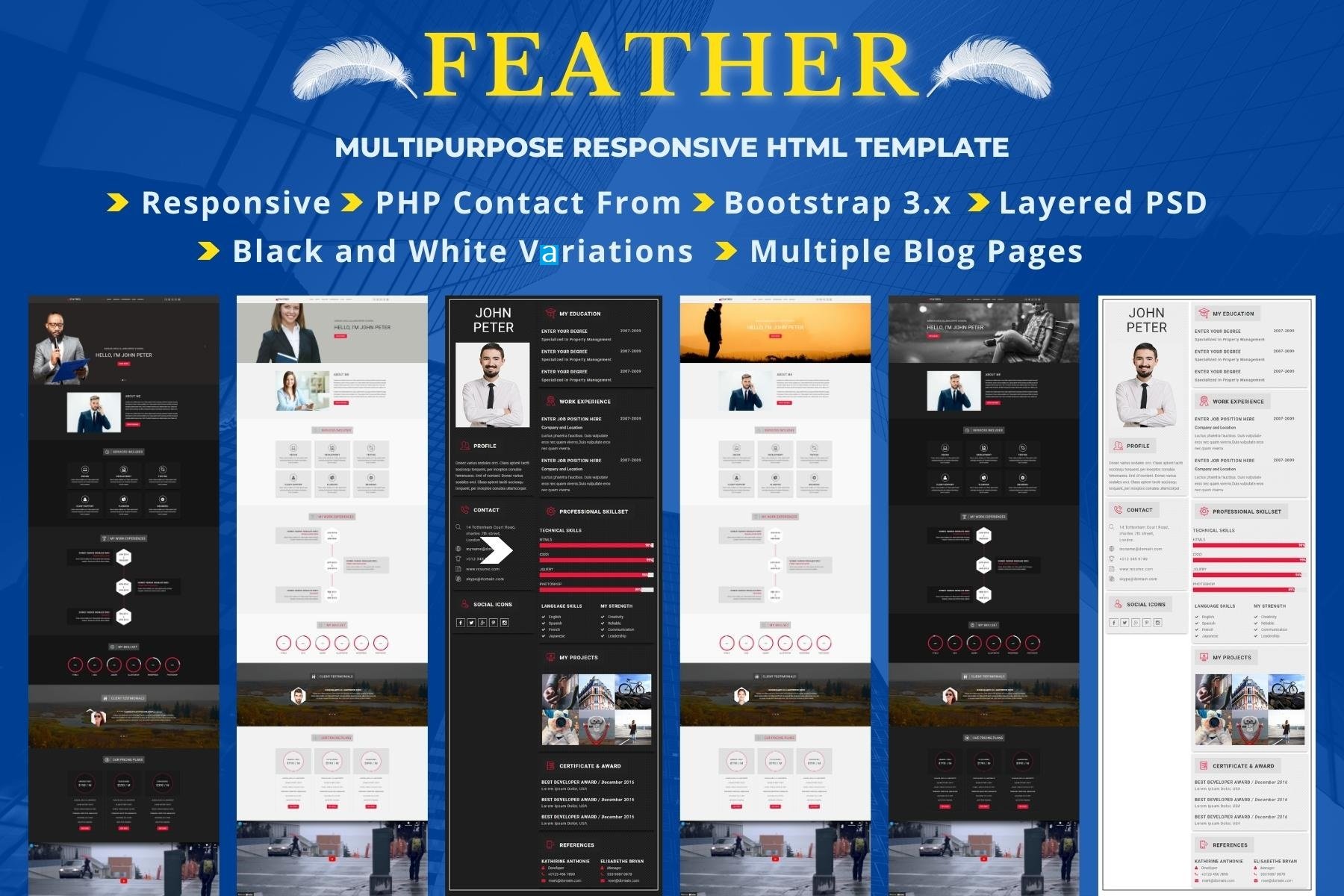 Imagen de portada de FEATHER - Multipurpose Responsive Landing Pages (plantilla web)