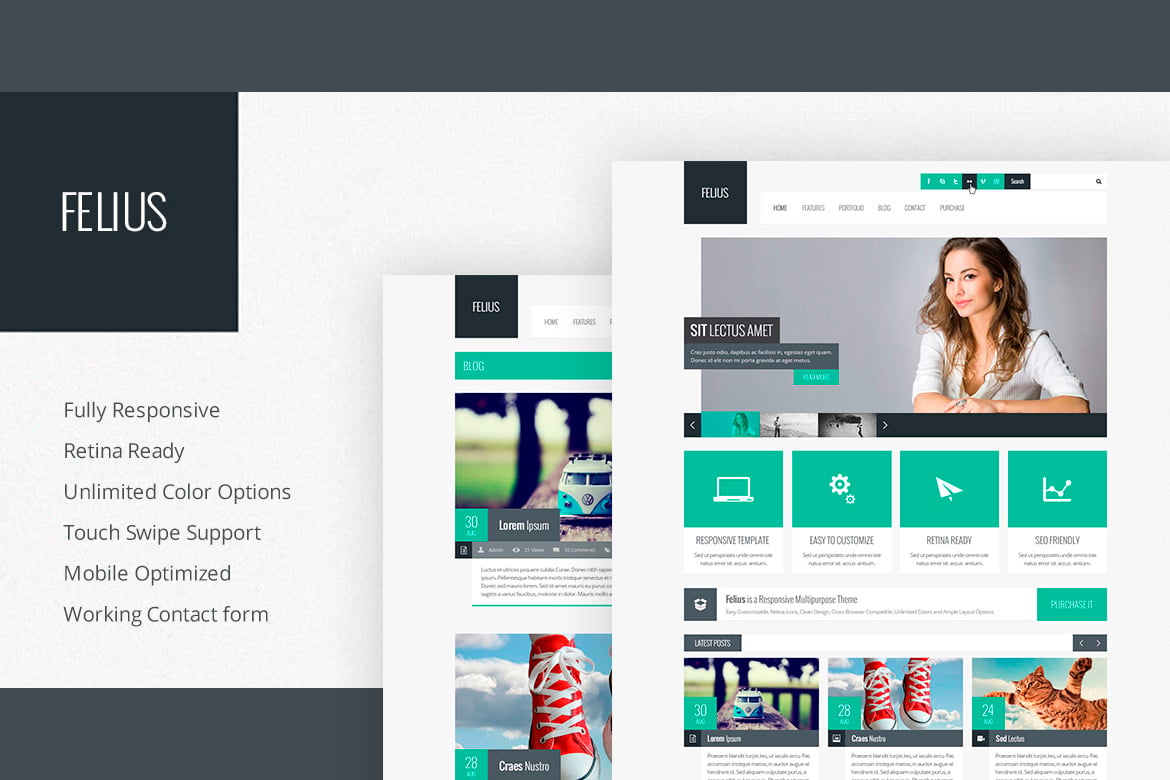 Imagen de portada de Felius - Responsive Multipurpose Template (plantilla web)