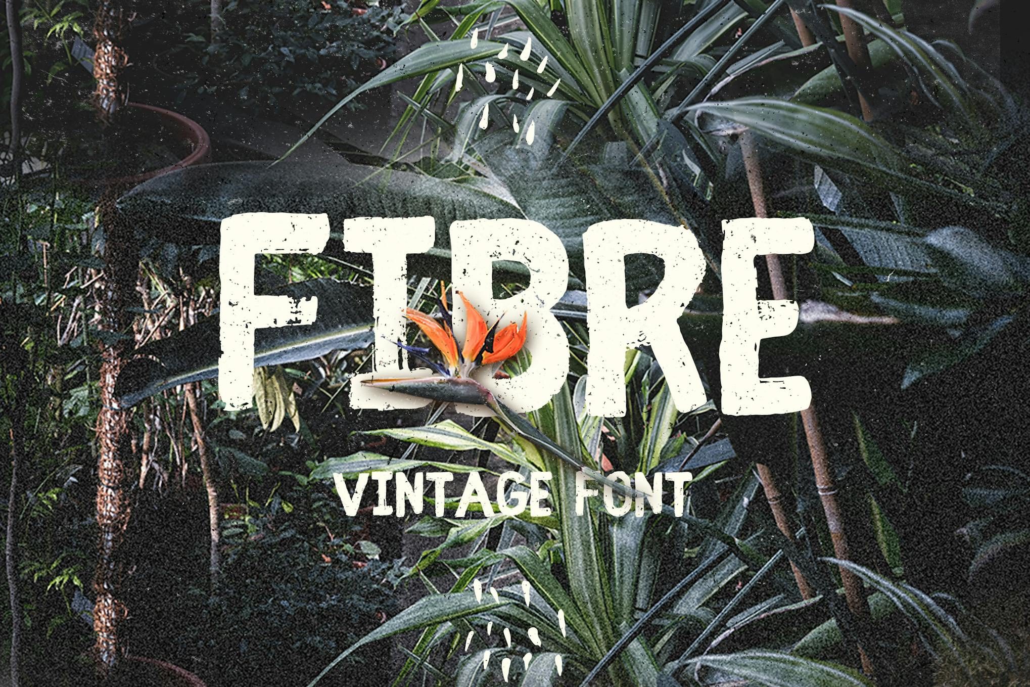 Imagen de portada de Fibre - Vintage Font (fuente)