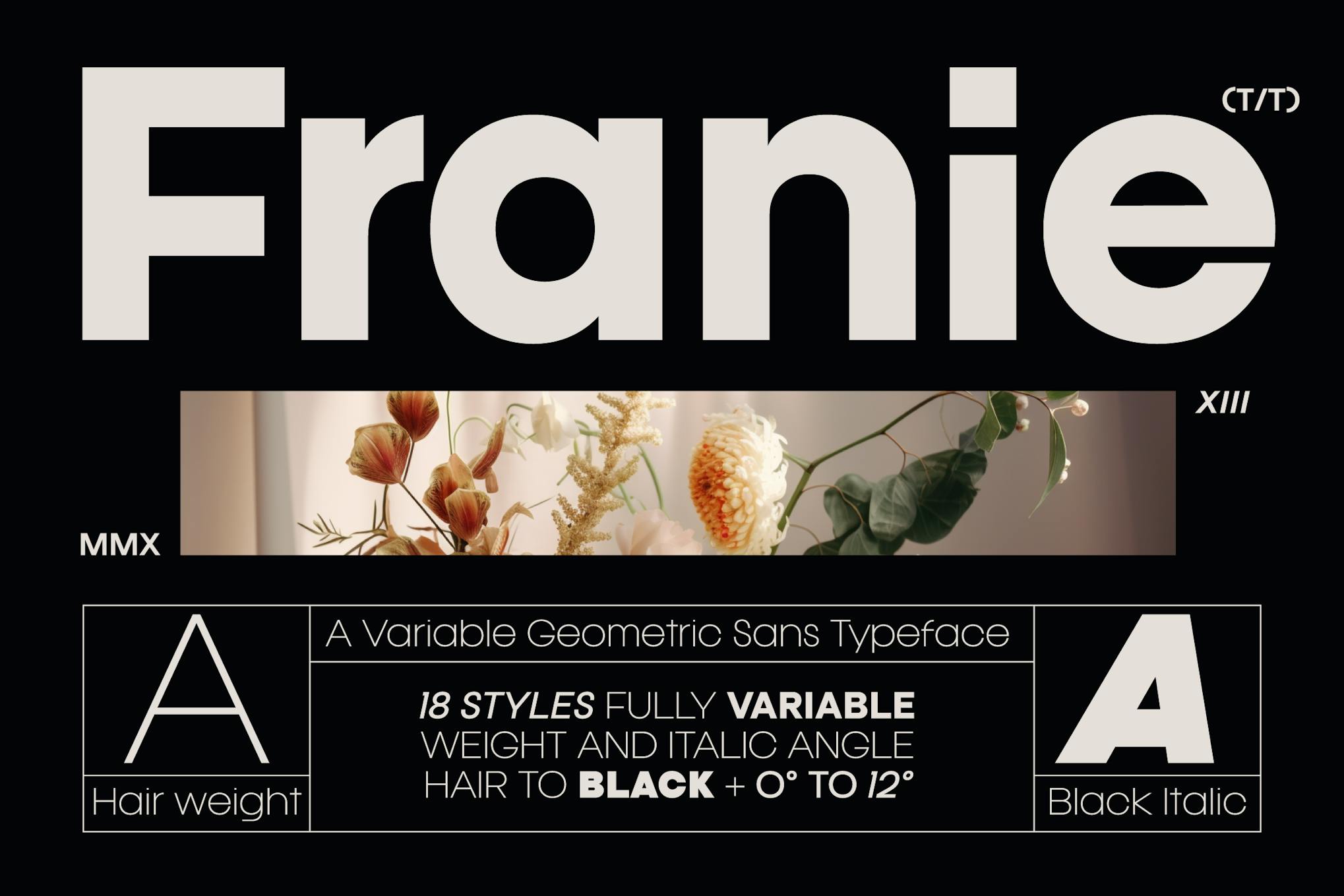 Imagen de portada de Franie Geometric Sans Font (fuente)