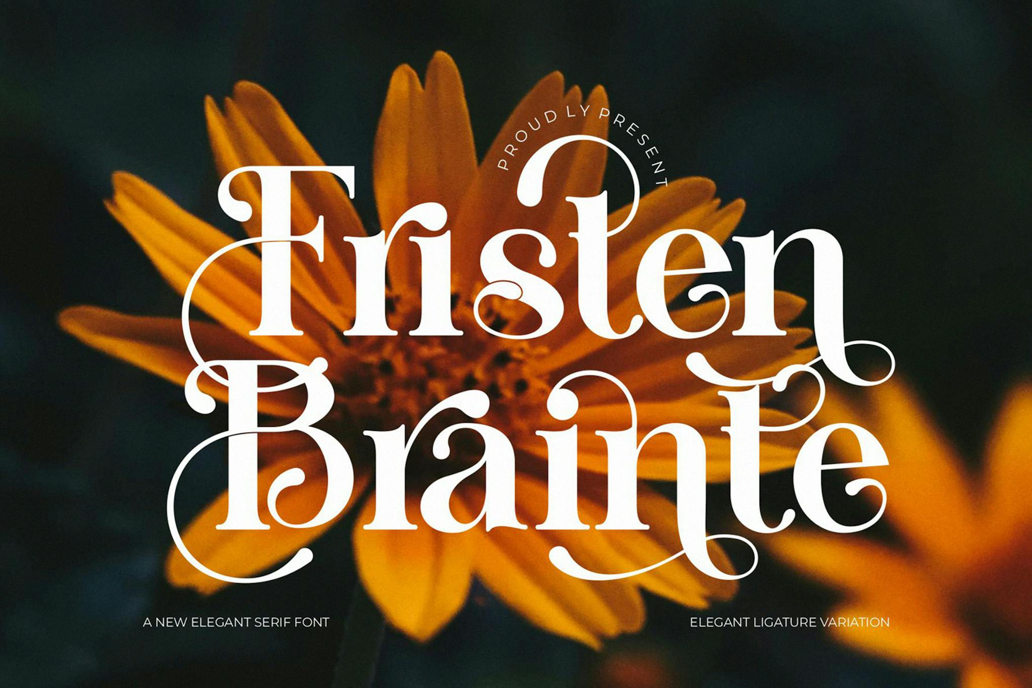 Imagen de portada de Fristen Brainte Elegant Ligature Serif (fuente)