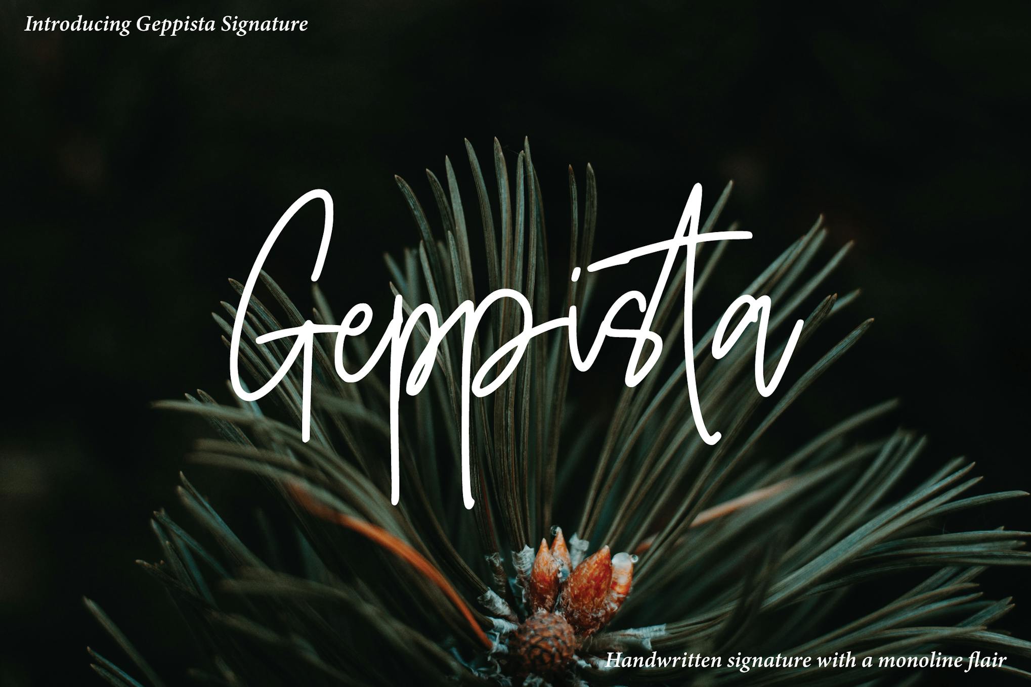 Imagen de portada de Geppista - Casual Handwritten (fuente)