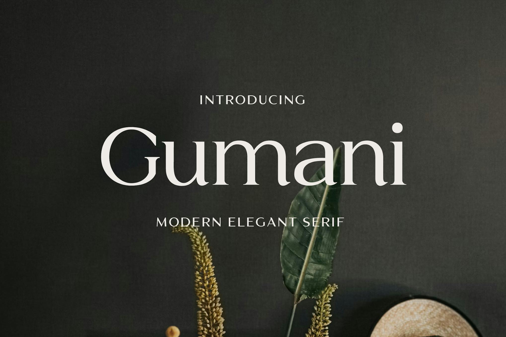 Imagen de portada de Gumani Serif Font (fuente)
