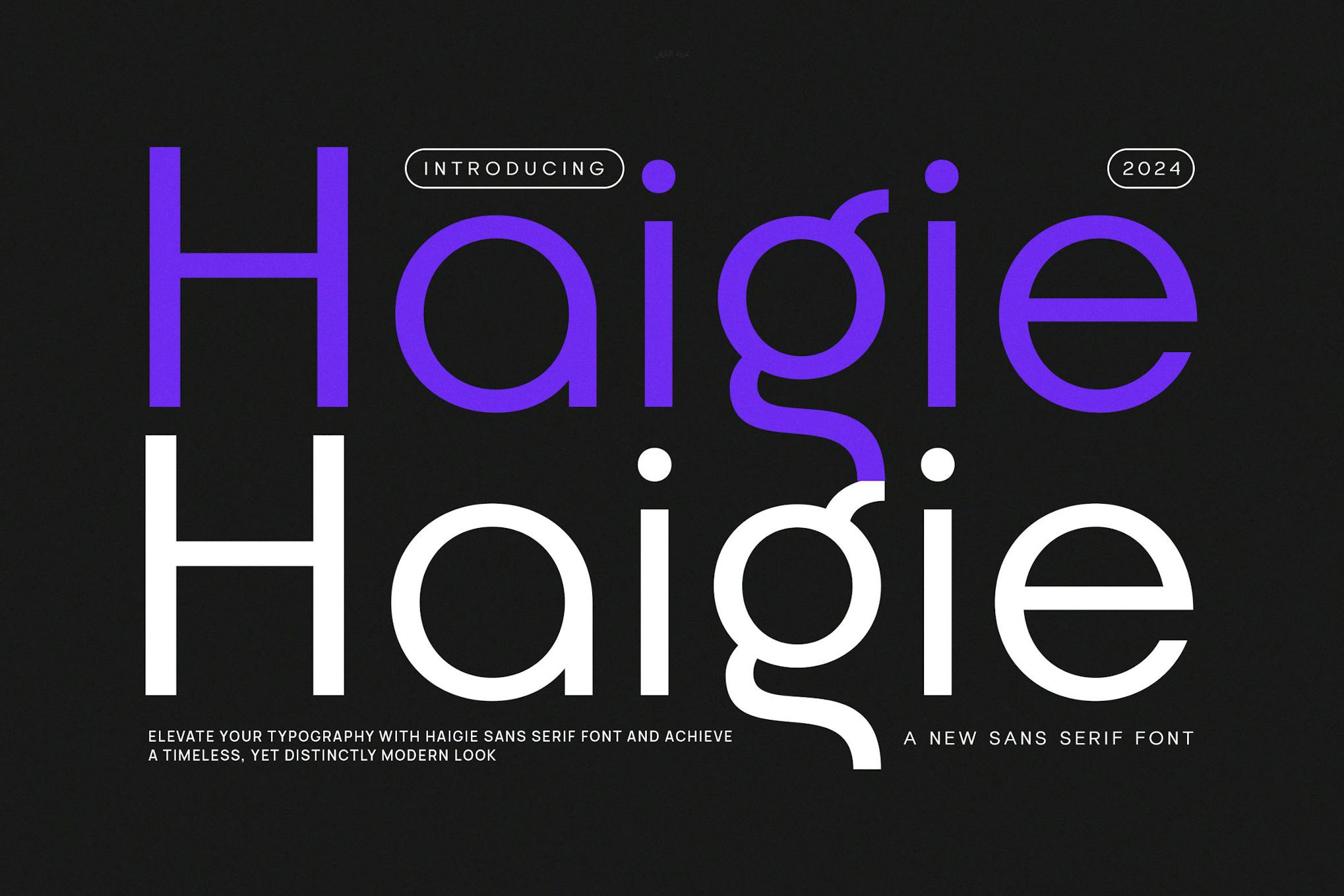 Imagen de portada de Haigie - Modern Sans Serif (fuente)