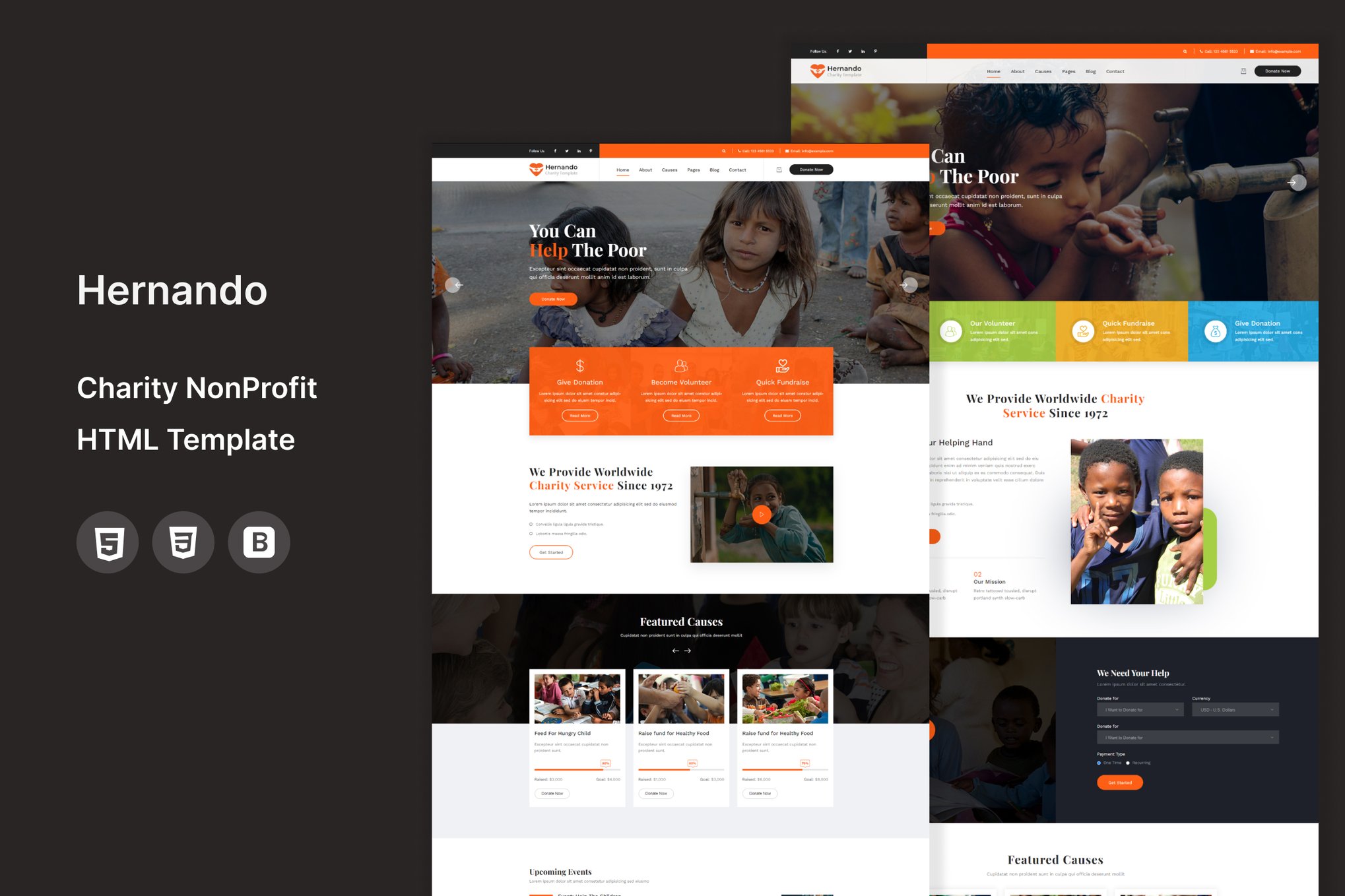 Imagen de portada de Hernando - Charity NonProfit HTML Template (plantilla web)
