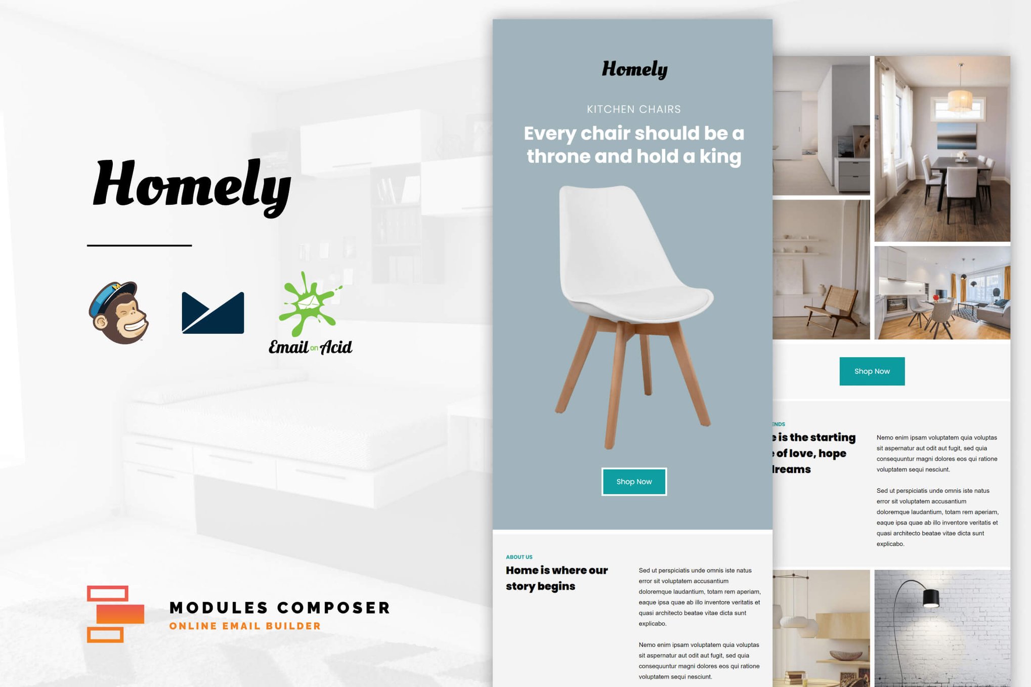 Imagen de portada de Homely - E-Commerce Responsive Email Template (plantilla web)