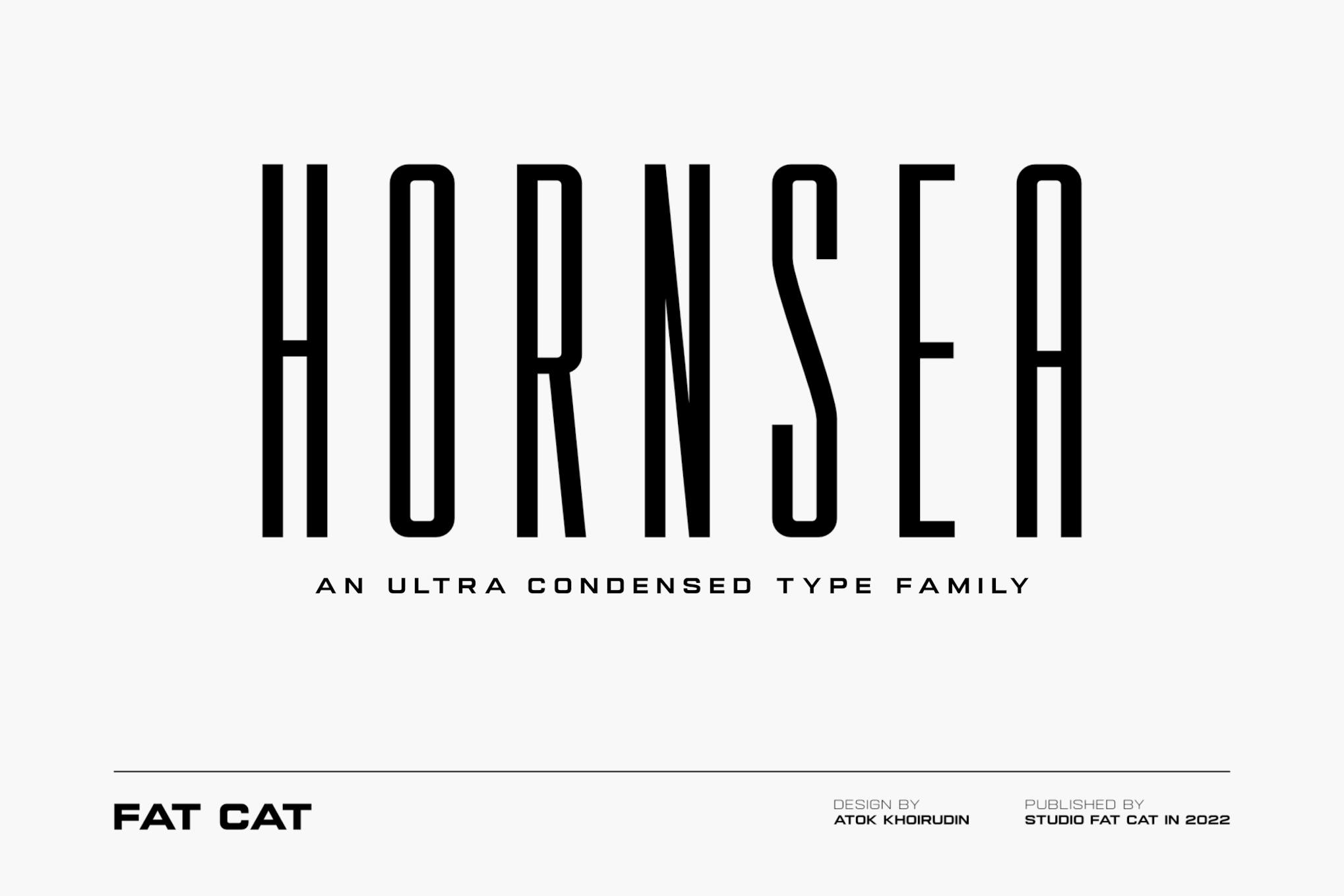 Imagen de portada de Hornsea FC | Condensed Sans Serif Font Family (fuente)