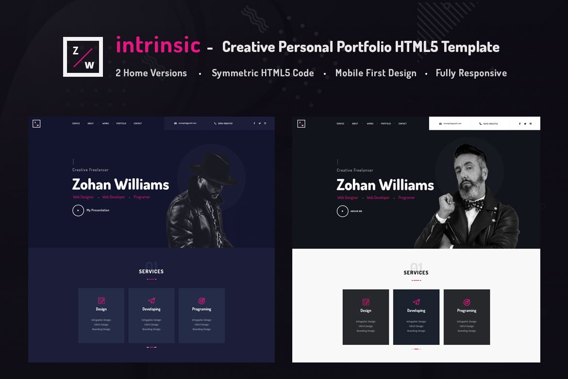Imagen de portada de Intrinsic (plantilla web)