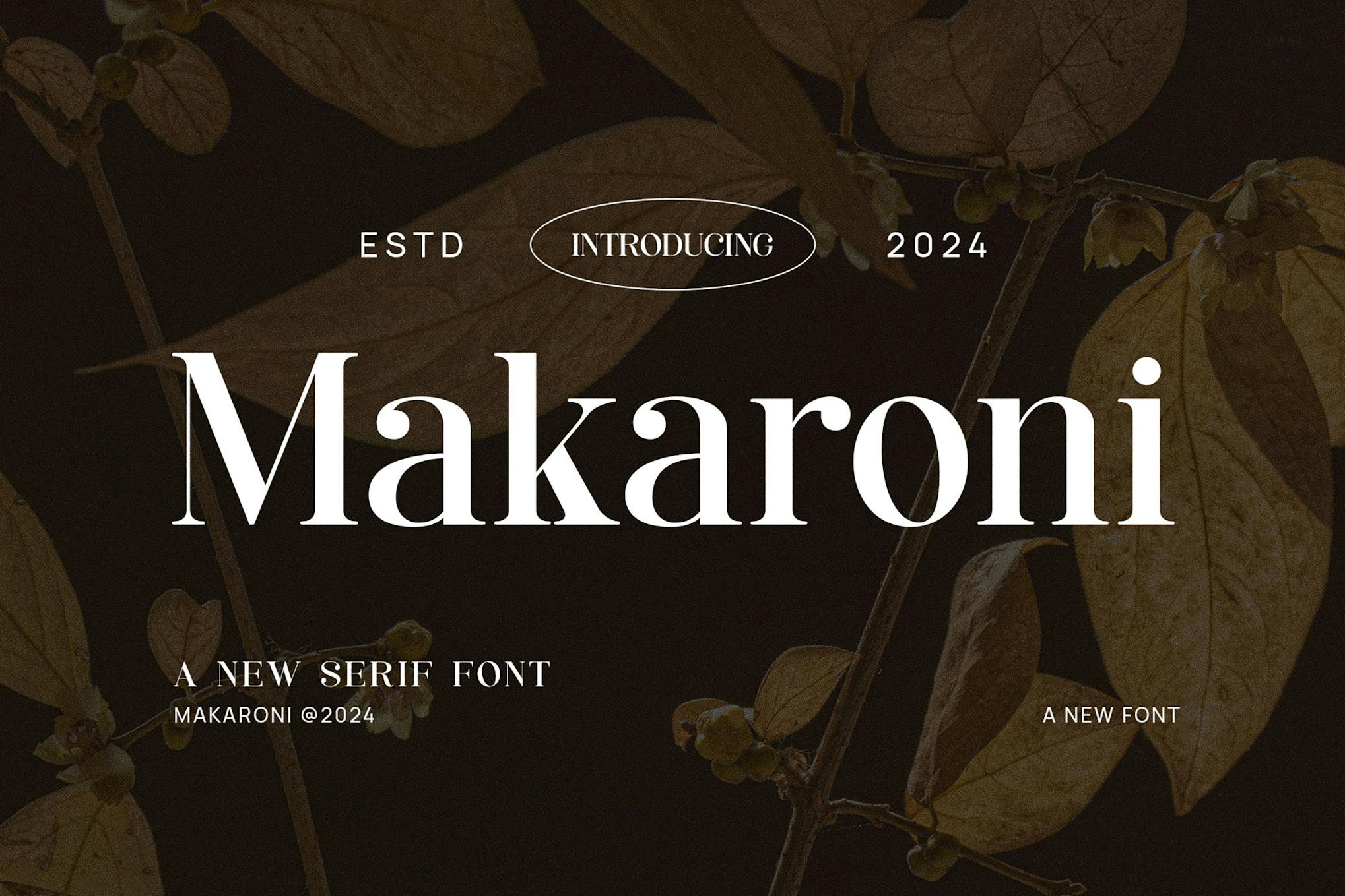 Imagen de portada de Makaroni - Classy & Stylish Serif (fuente)