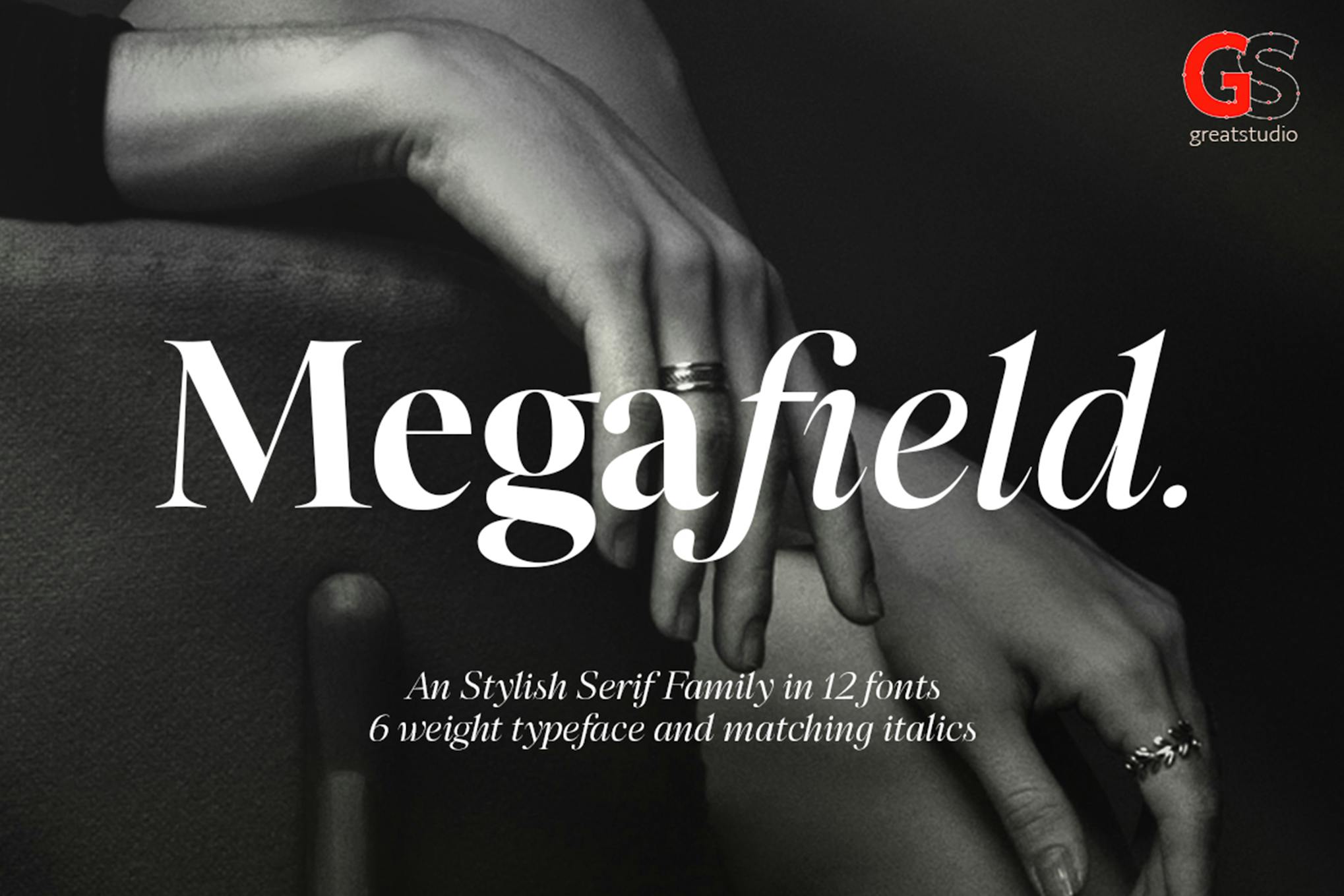 Imagen de portada de Megafield Font Family (fuente)