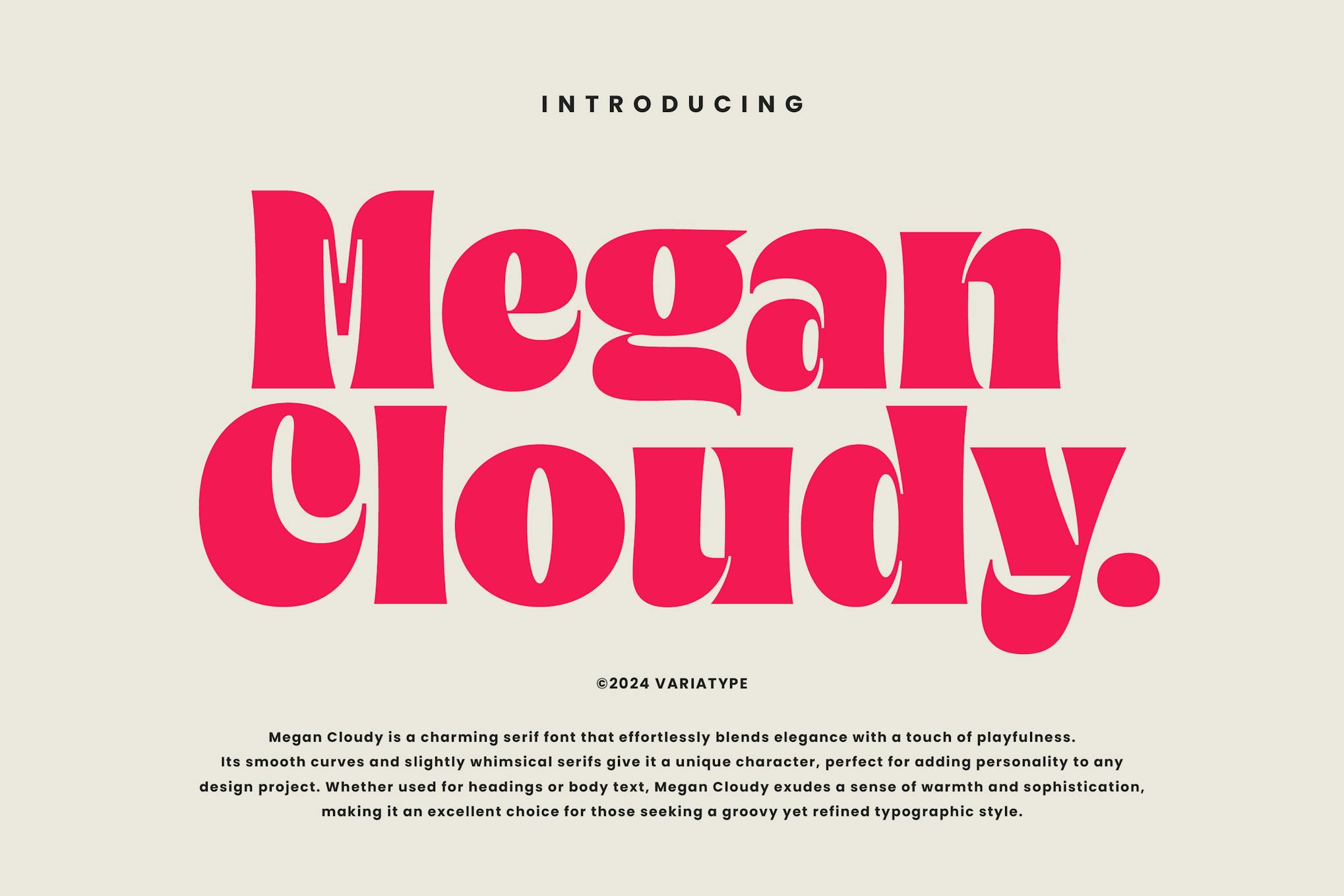 Imagen de portada de Megan Cloudy - Charming Serif (fuente)