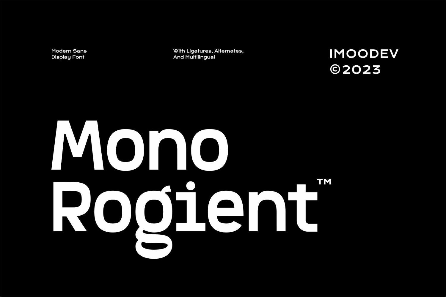 Imagen de portada de Mono Rogient - Modern Sans Display Font (fuente)