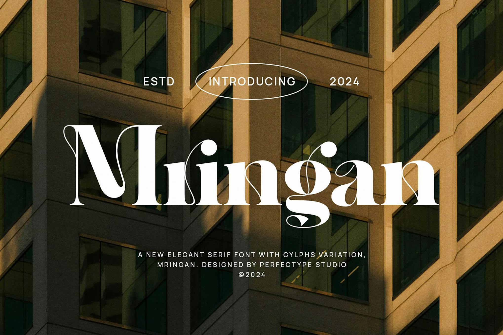Imagen de portada de Mringan Elegant Ligature Serif Font Typeface (fuente)