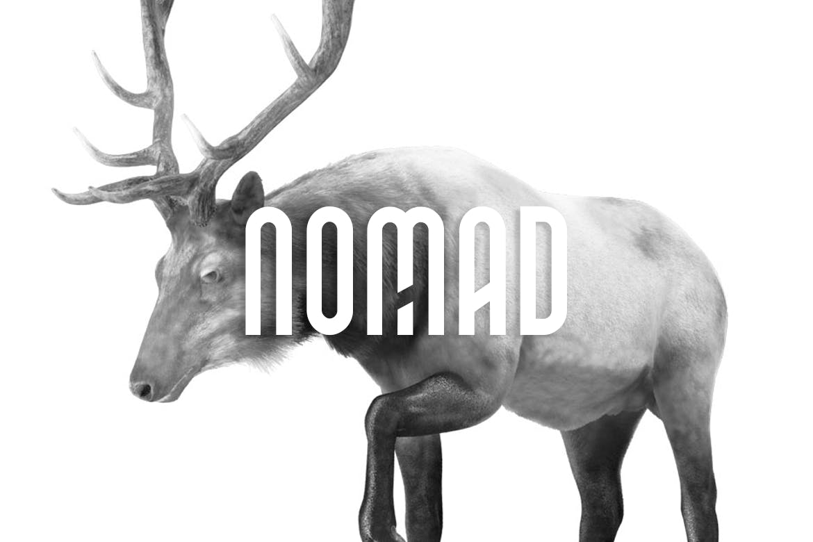 Imagen de portada de NOMAD - Unique Display / Monogram / Logo Typeface (fuente)