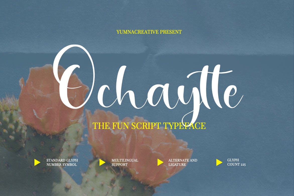 Imagen de portada de Ochaytte - Fun Script Font (fuente)