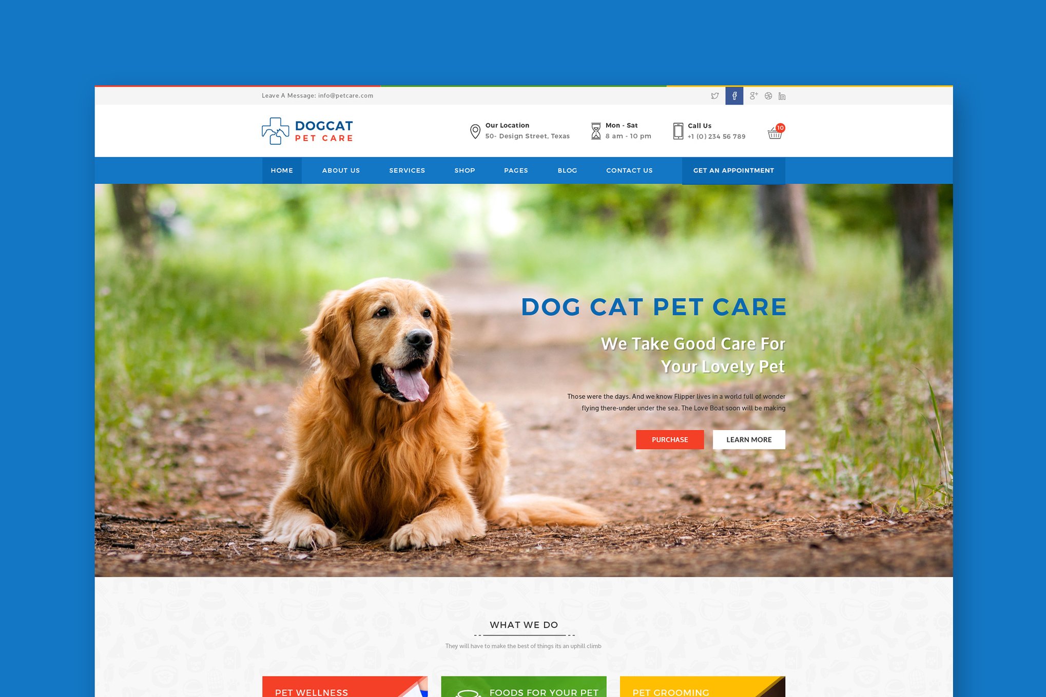Imagen de portada de Pet Care - Veterinary HTML Template (plantilla web)