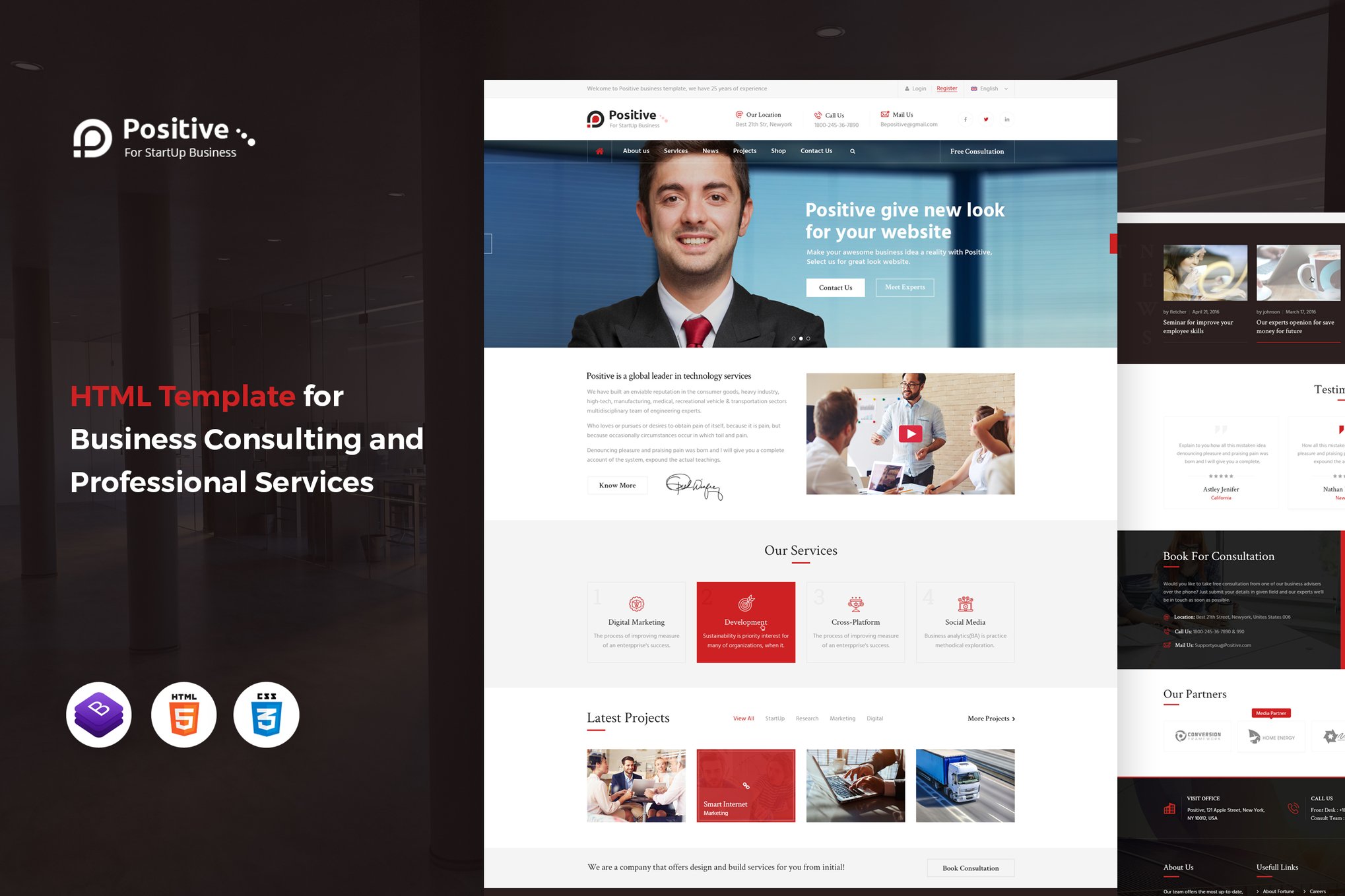 Imagen de portada de Positive - Business Consulting HTML Template (plantilla web)