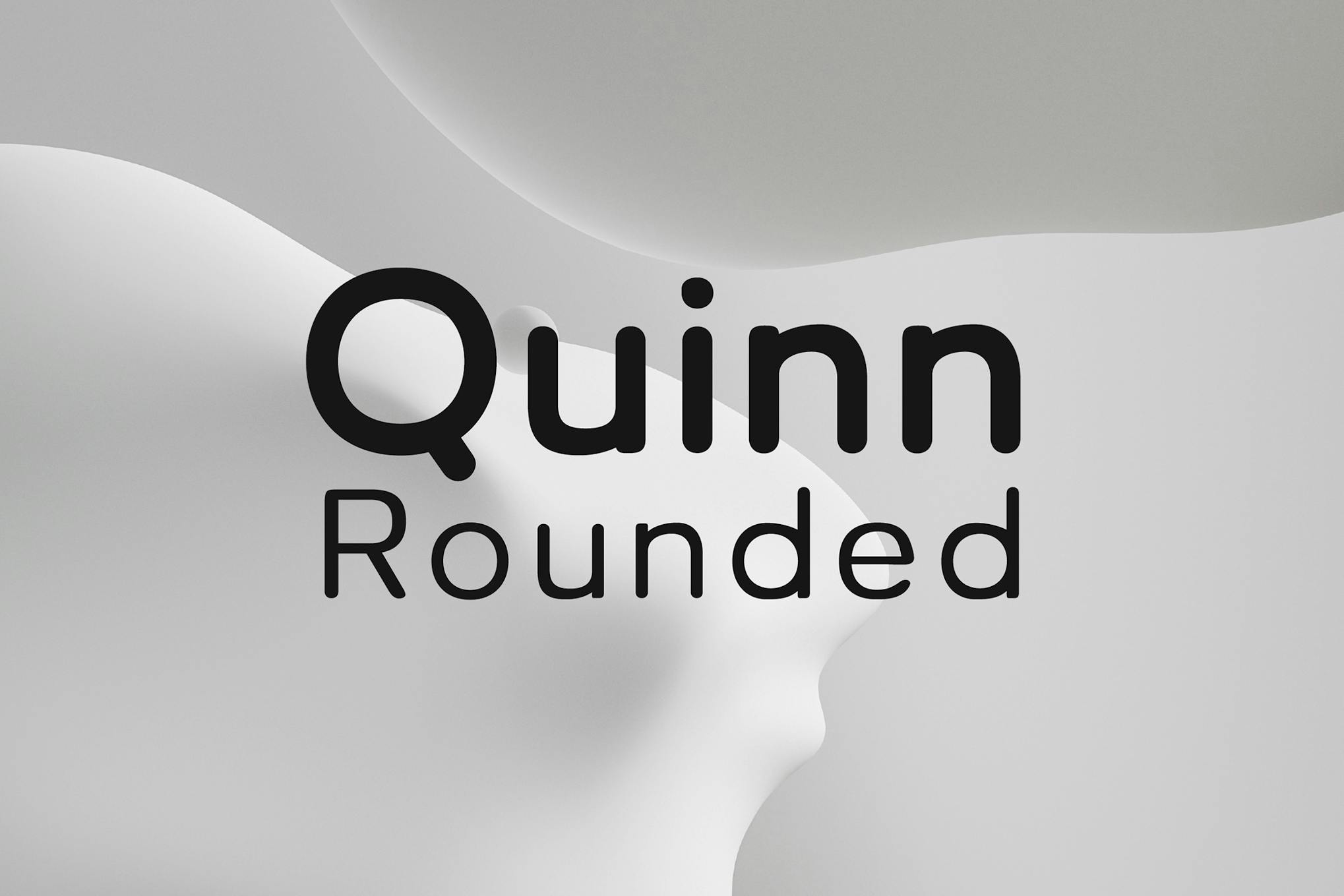 Imagen de portada de Quinn Rounded (fuente)