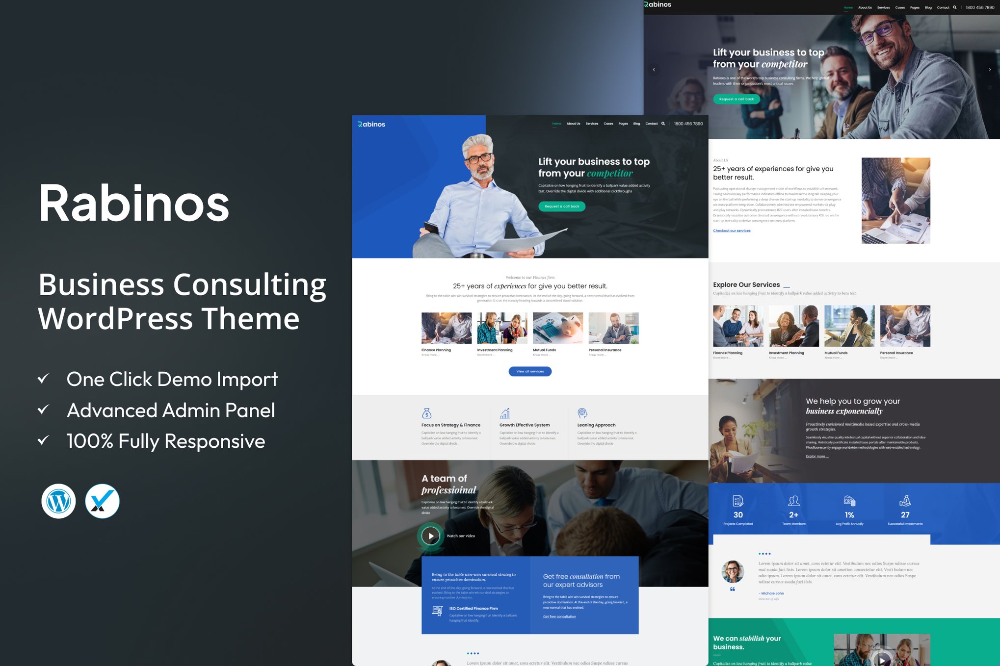 Imagen de portada de Rabinos - Business Consulting WordPress Theme (tema)