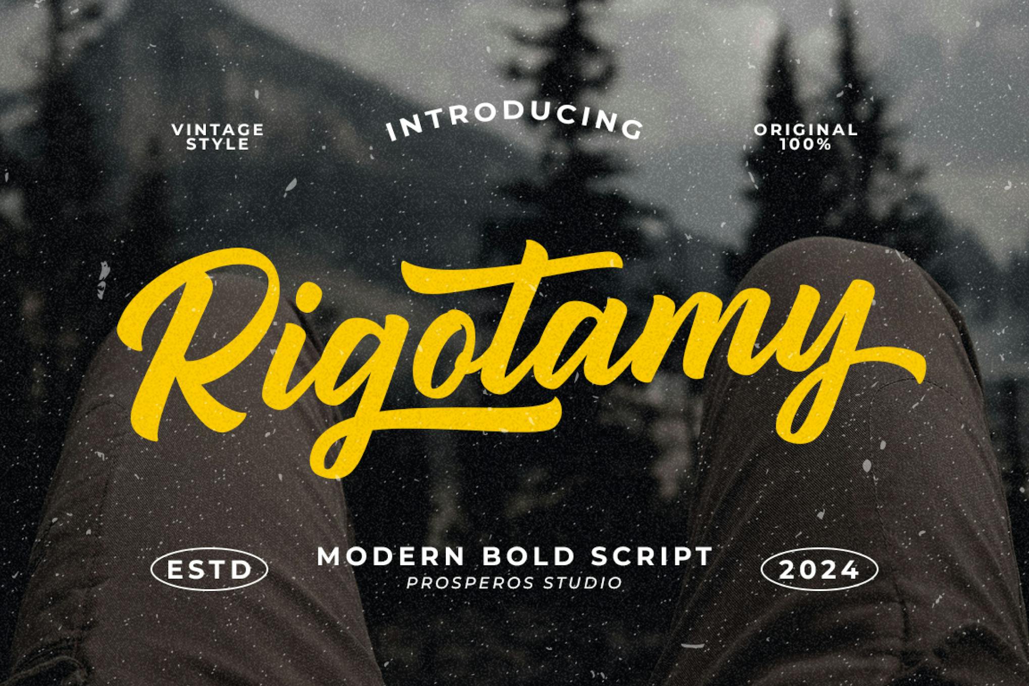Imagen de portada de Rigotamy - Script Font (fuente)